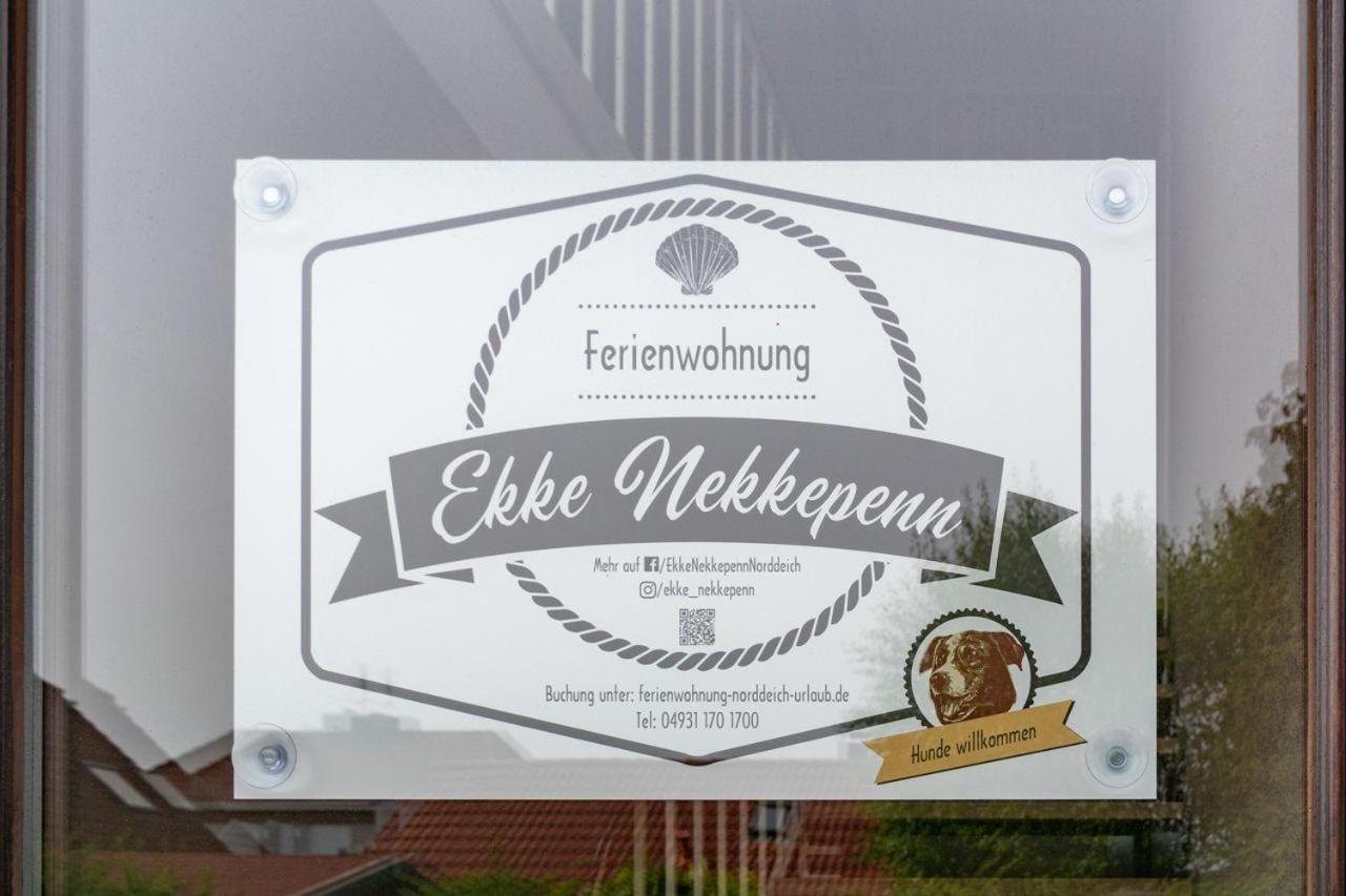 Fewo-Rahn-1-Haustiere-erlaubt-WLAN-kostenlos view 3