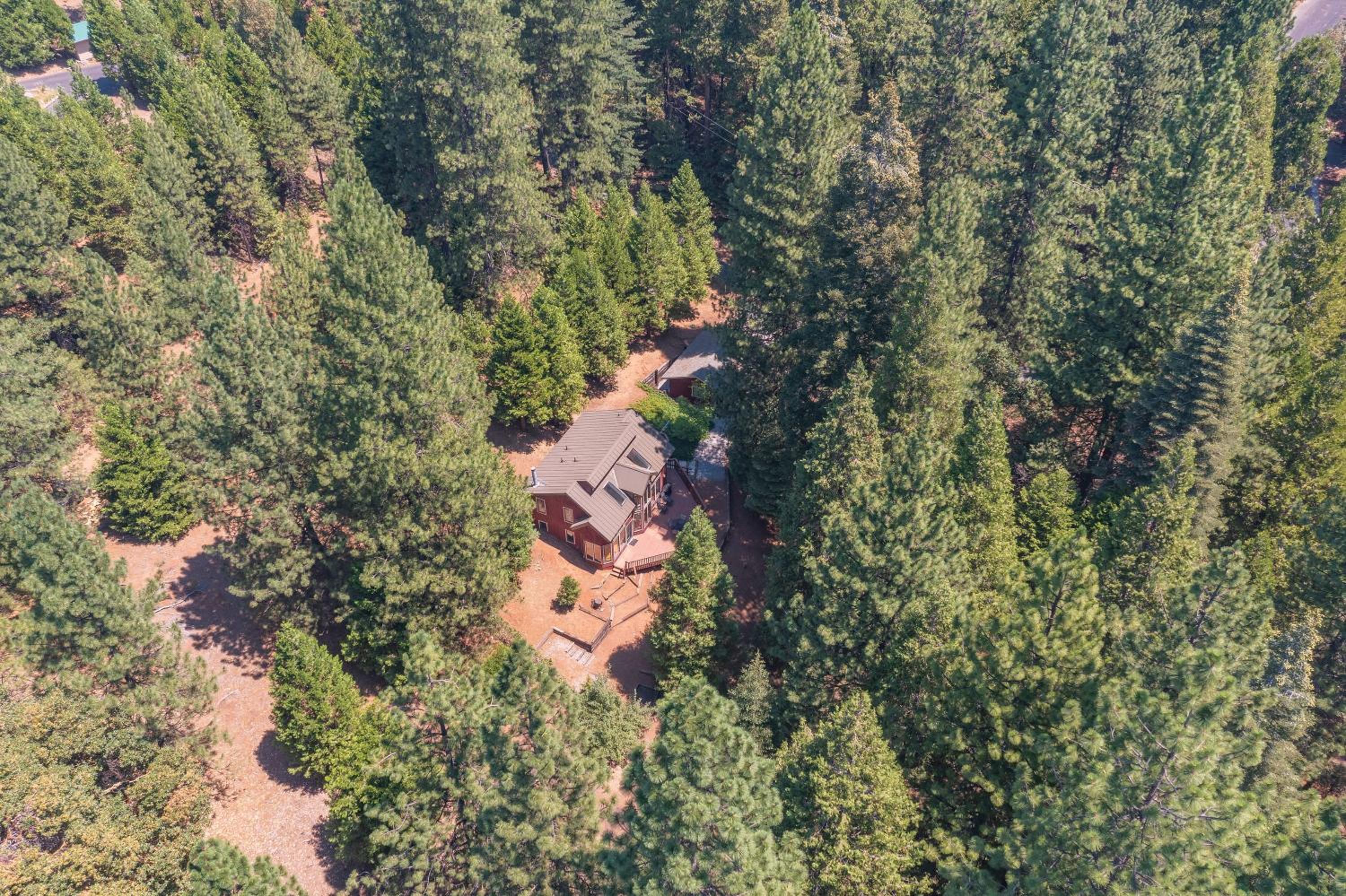 Relaxing 2BD Cabin in the Sierra view 3