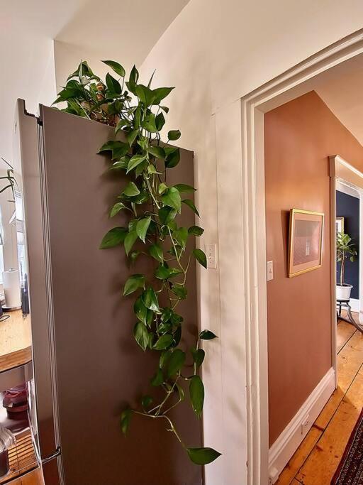 Vintage Vibe 4 Bedroom