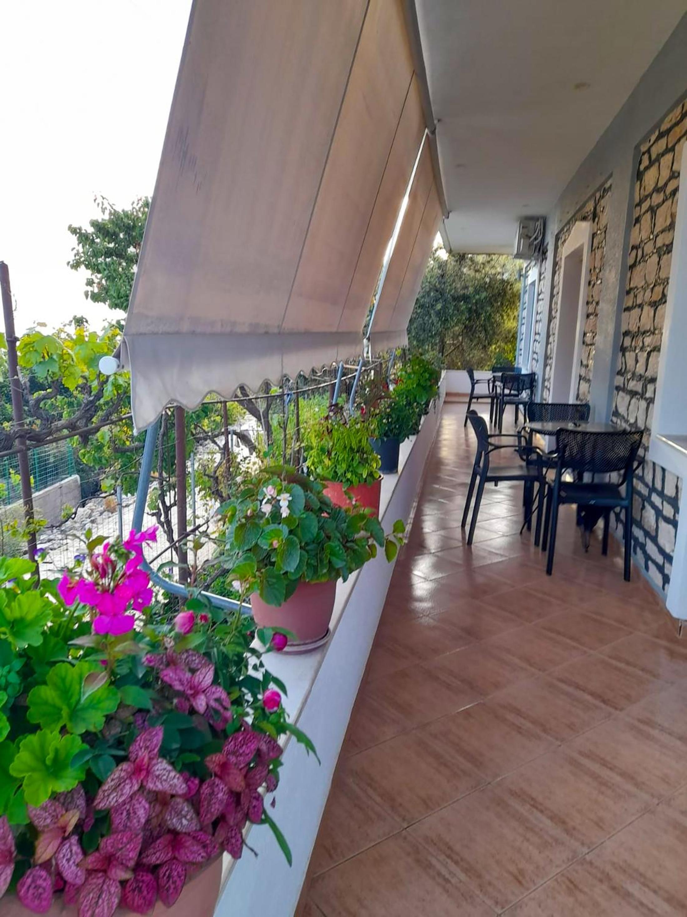 Oceanfront Outlook Rooms