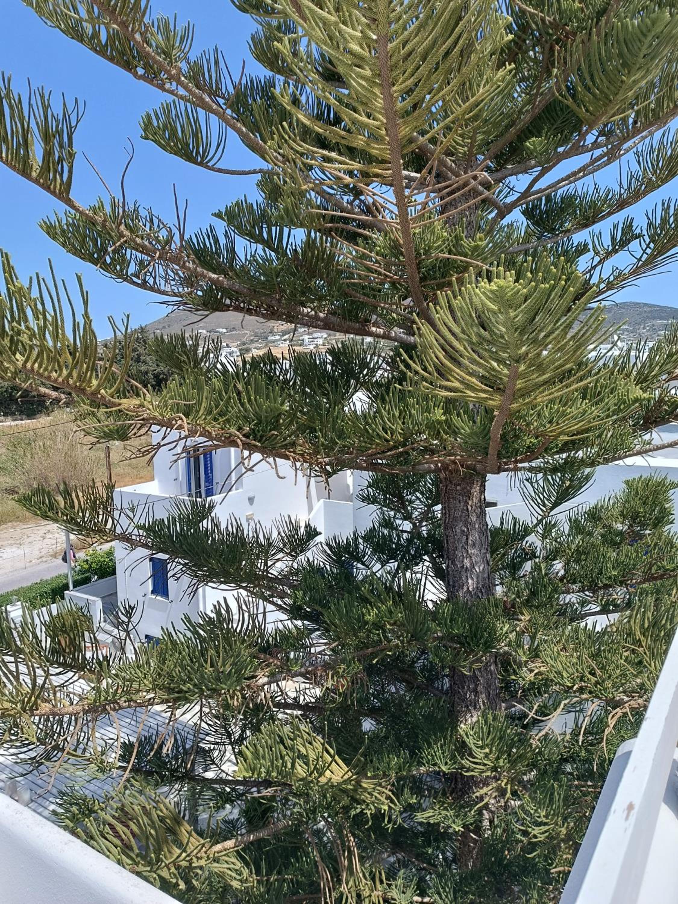 Livadia Beach Hostel