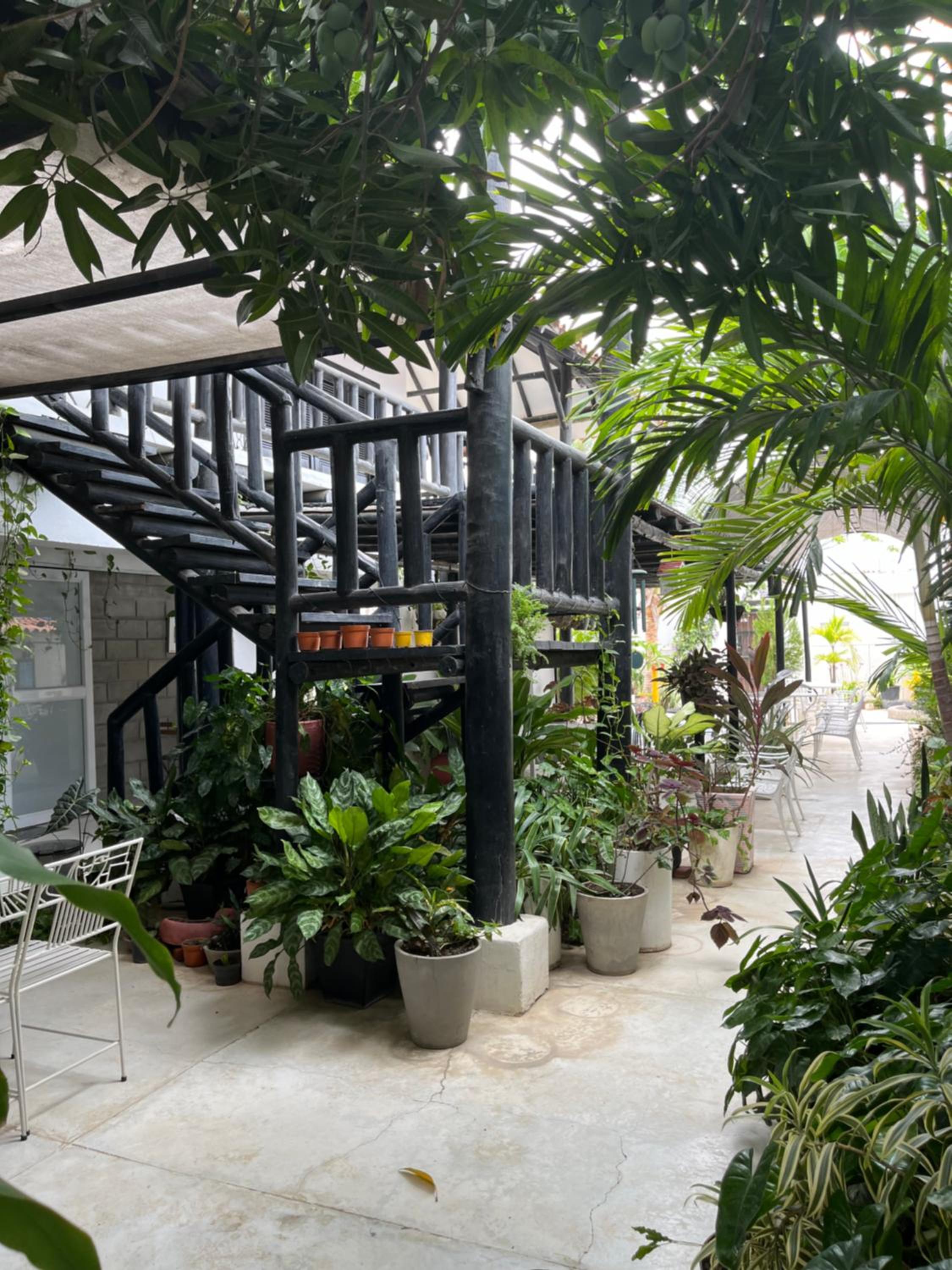 Casa Ines