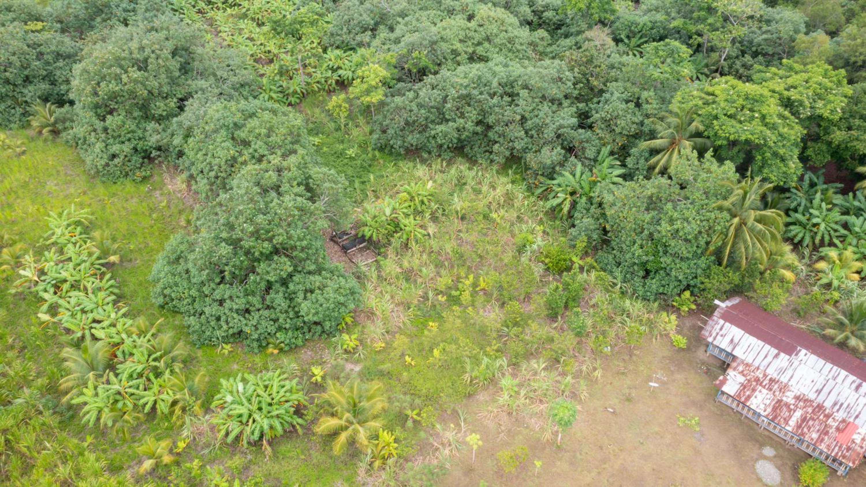 Cabaña Ecoturistica Villa Inesita