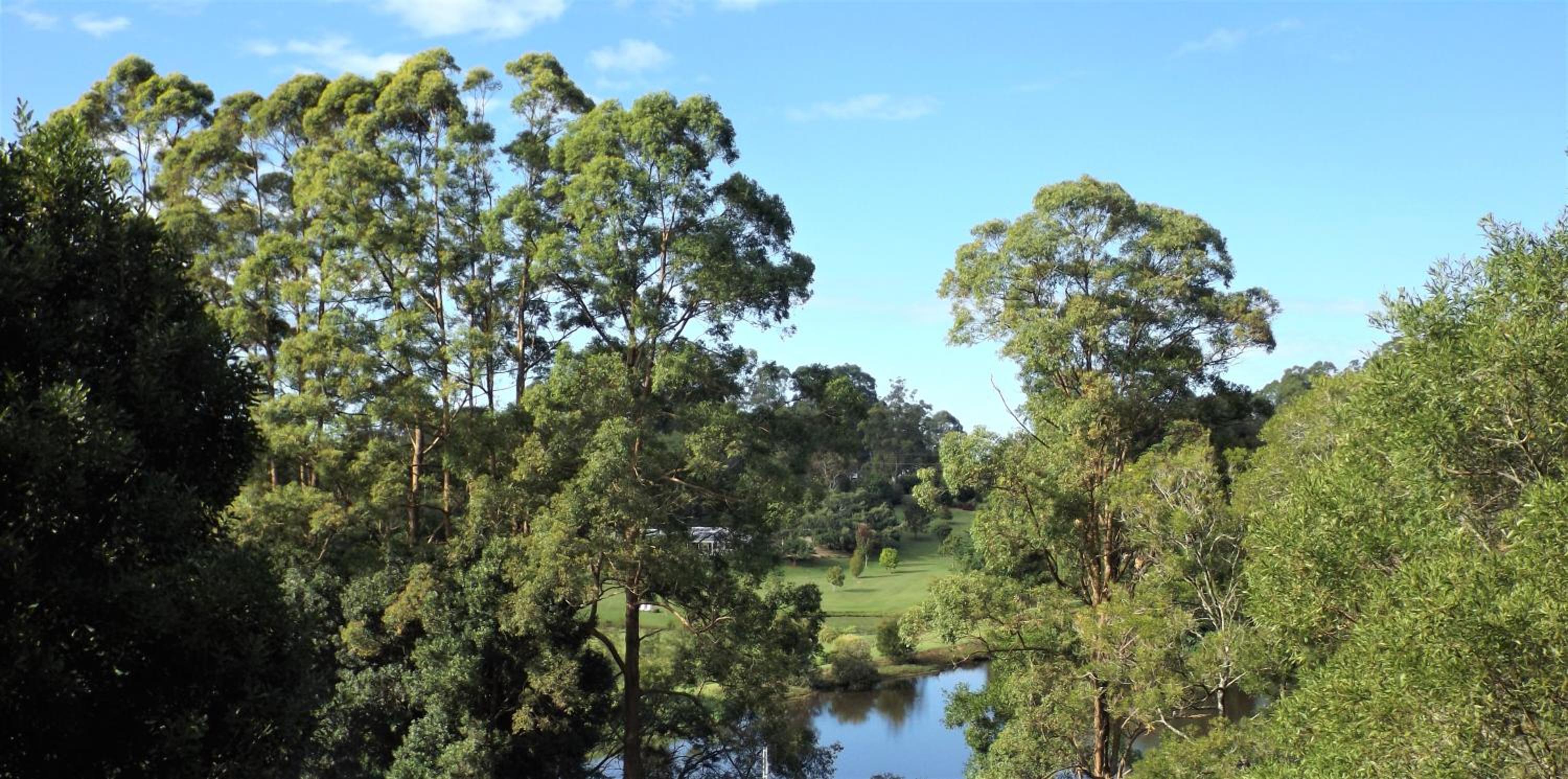 Kookaburra Cottage at On Burgum Pond