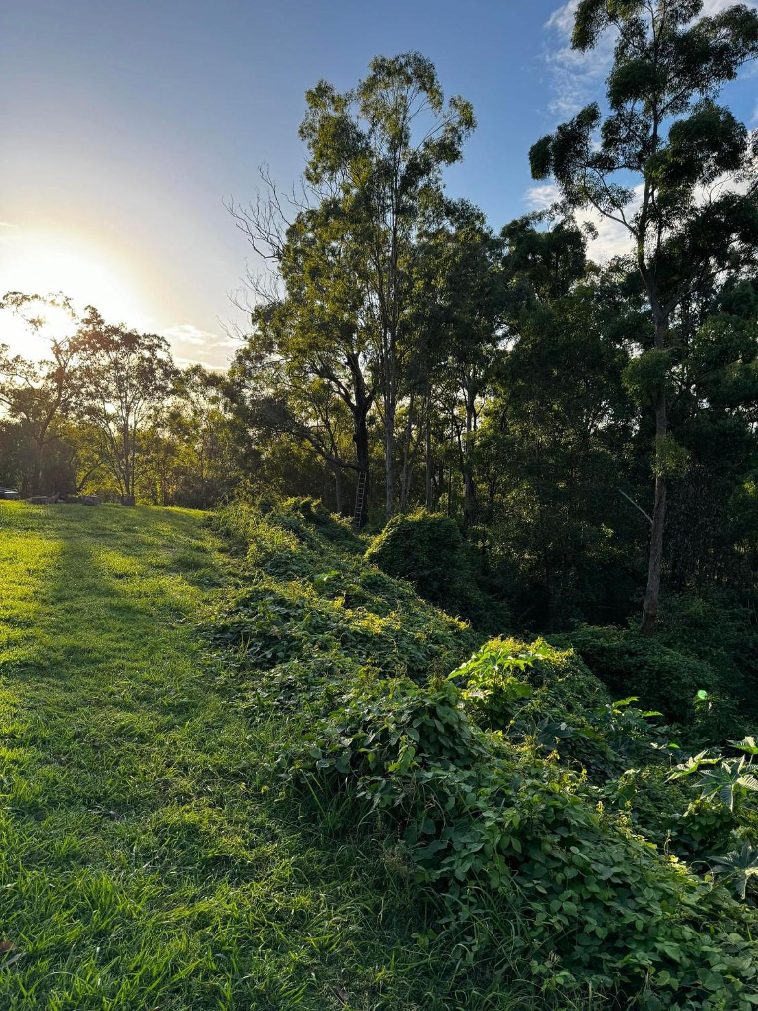 Hinterland Heights