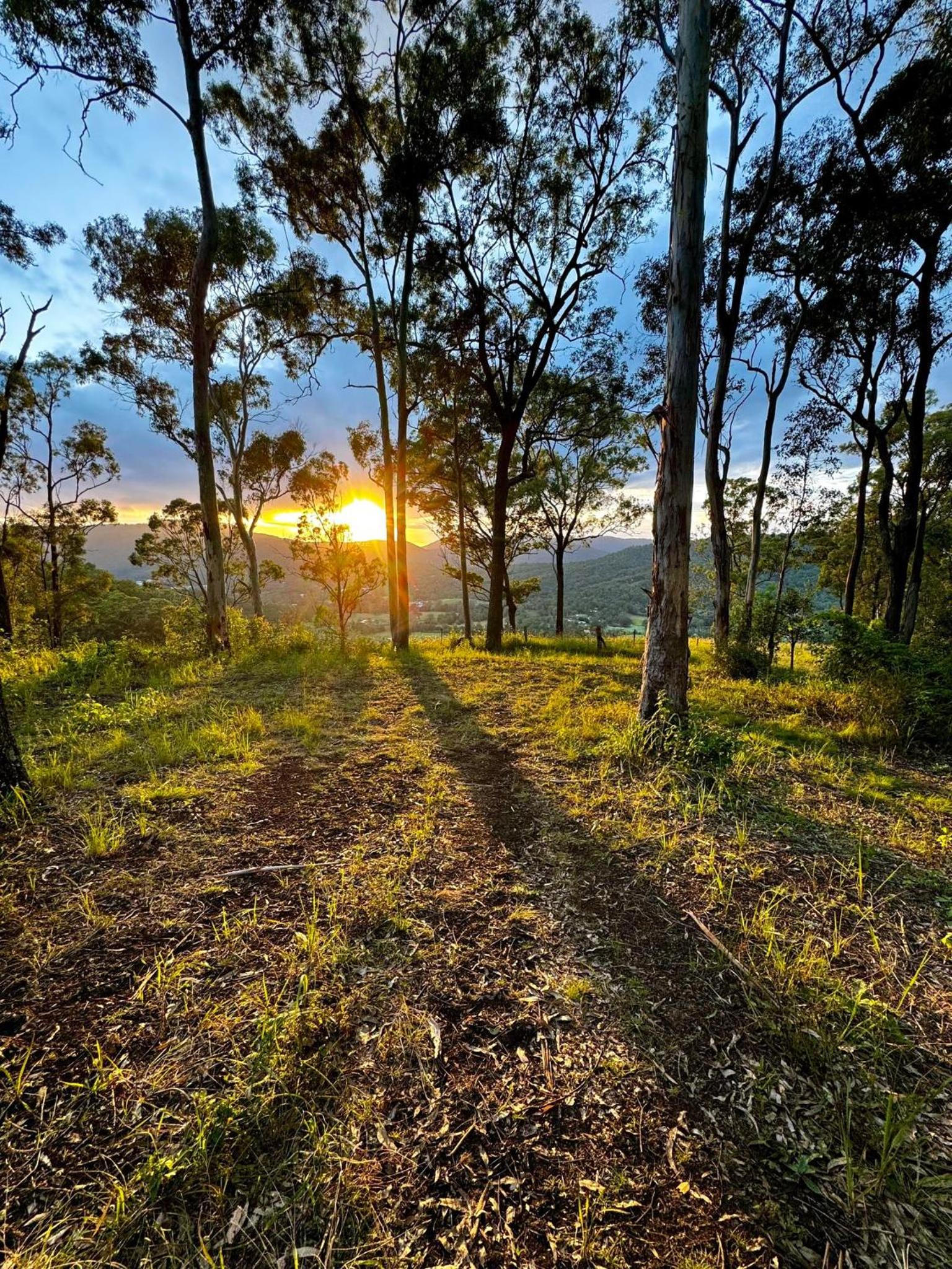 Hinterland Heights