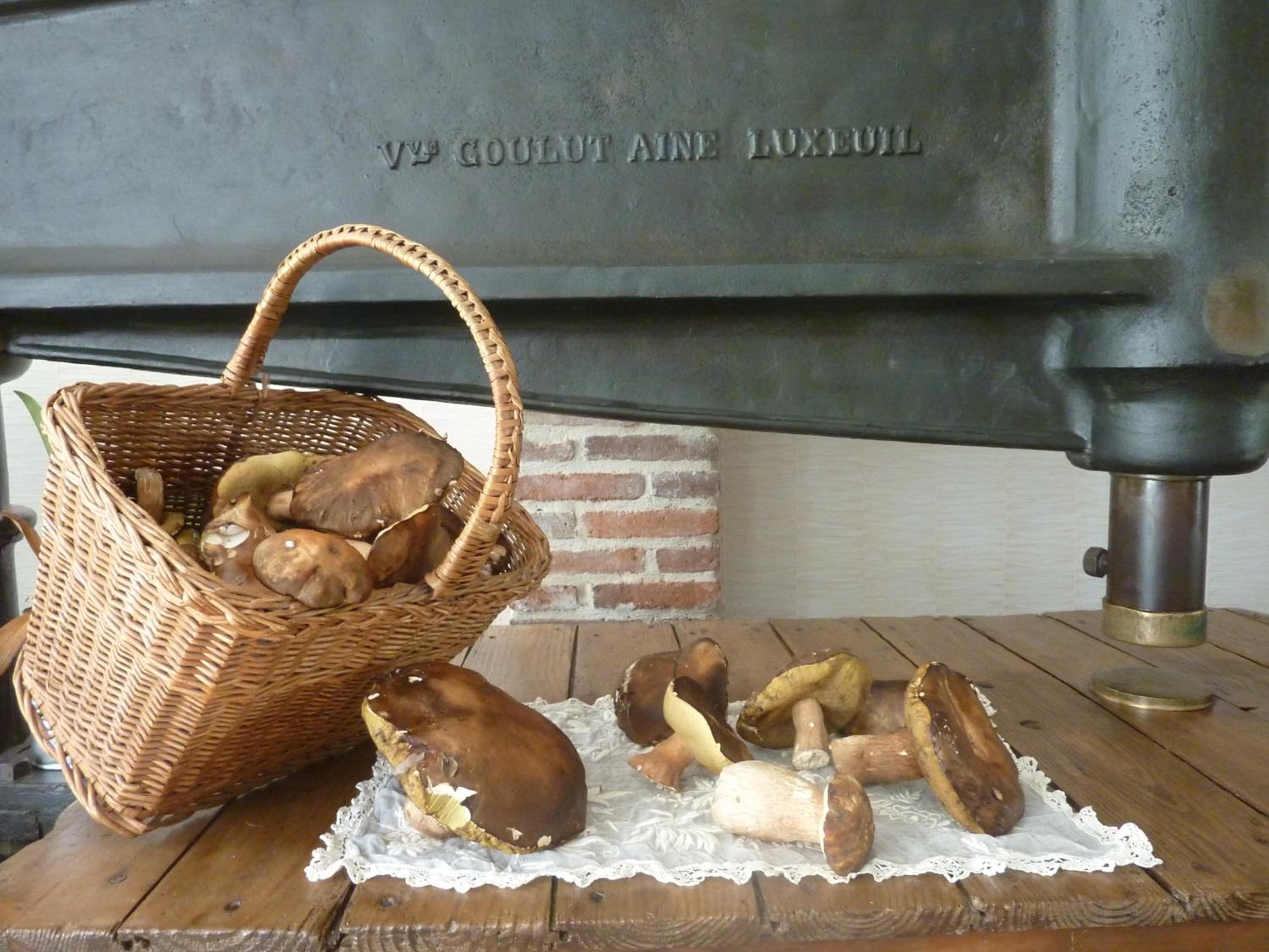 Domaine De La Tannerie chambres d'hôtes et appartements