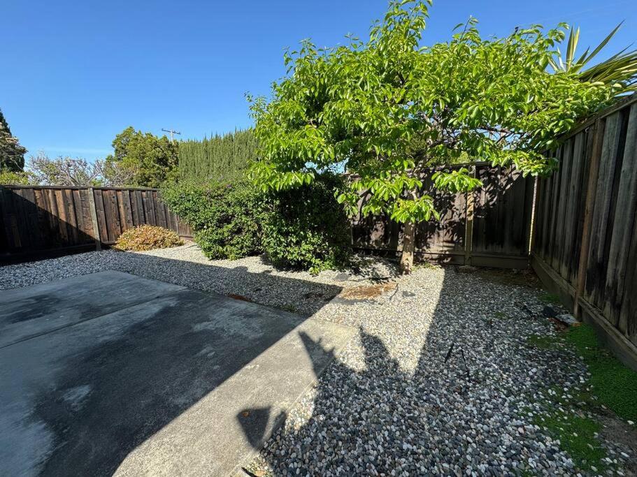 Spacious 3BR2B2LivingRoom House Sunnyvale Community Park view 4