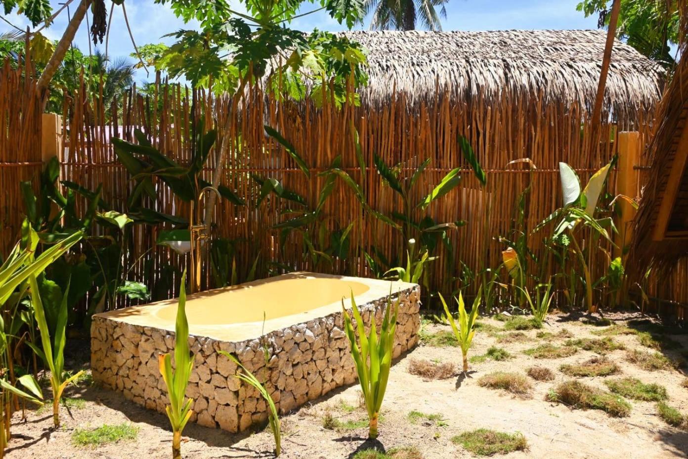 Pretty Jungle Siargao view 2