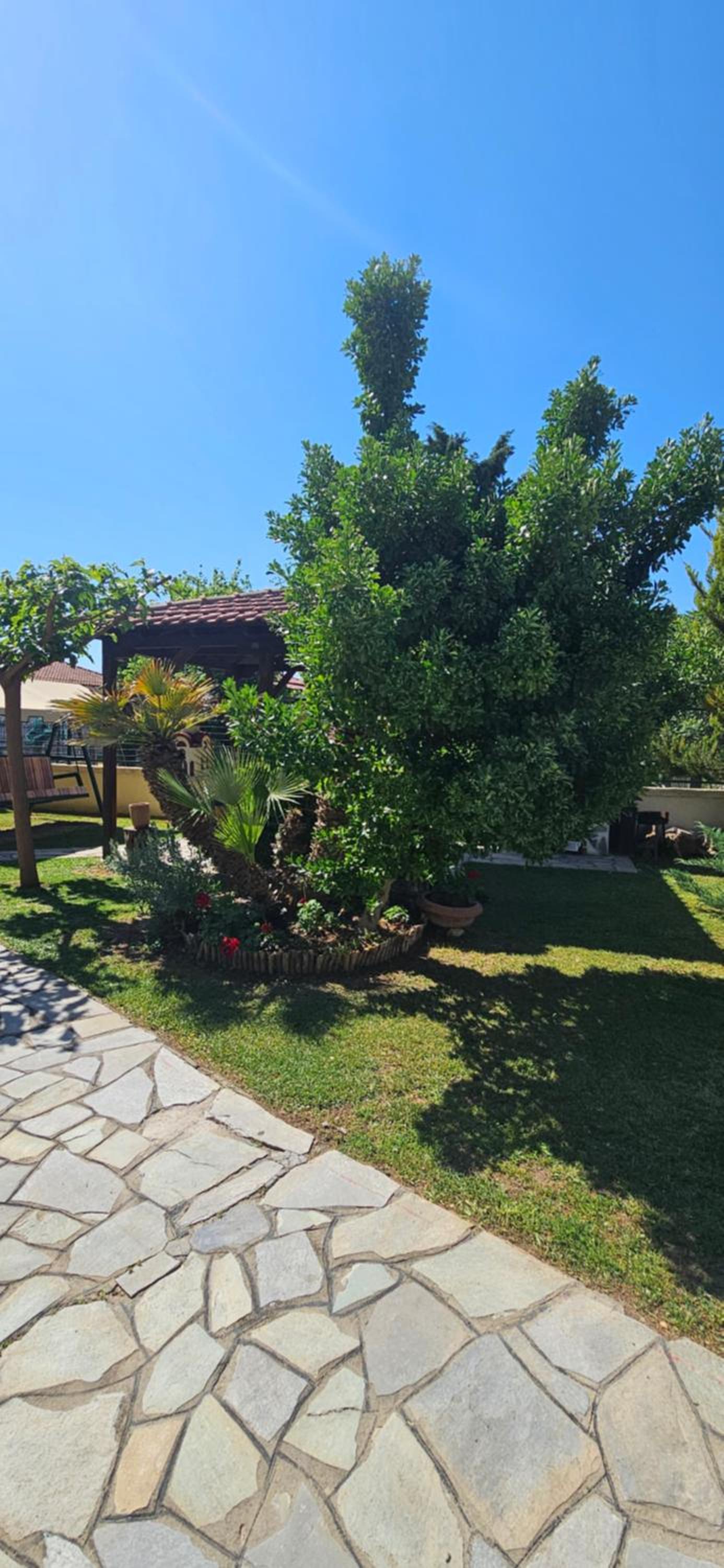 Ryan's house view 5