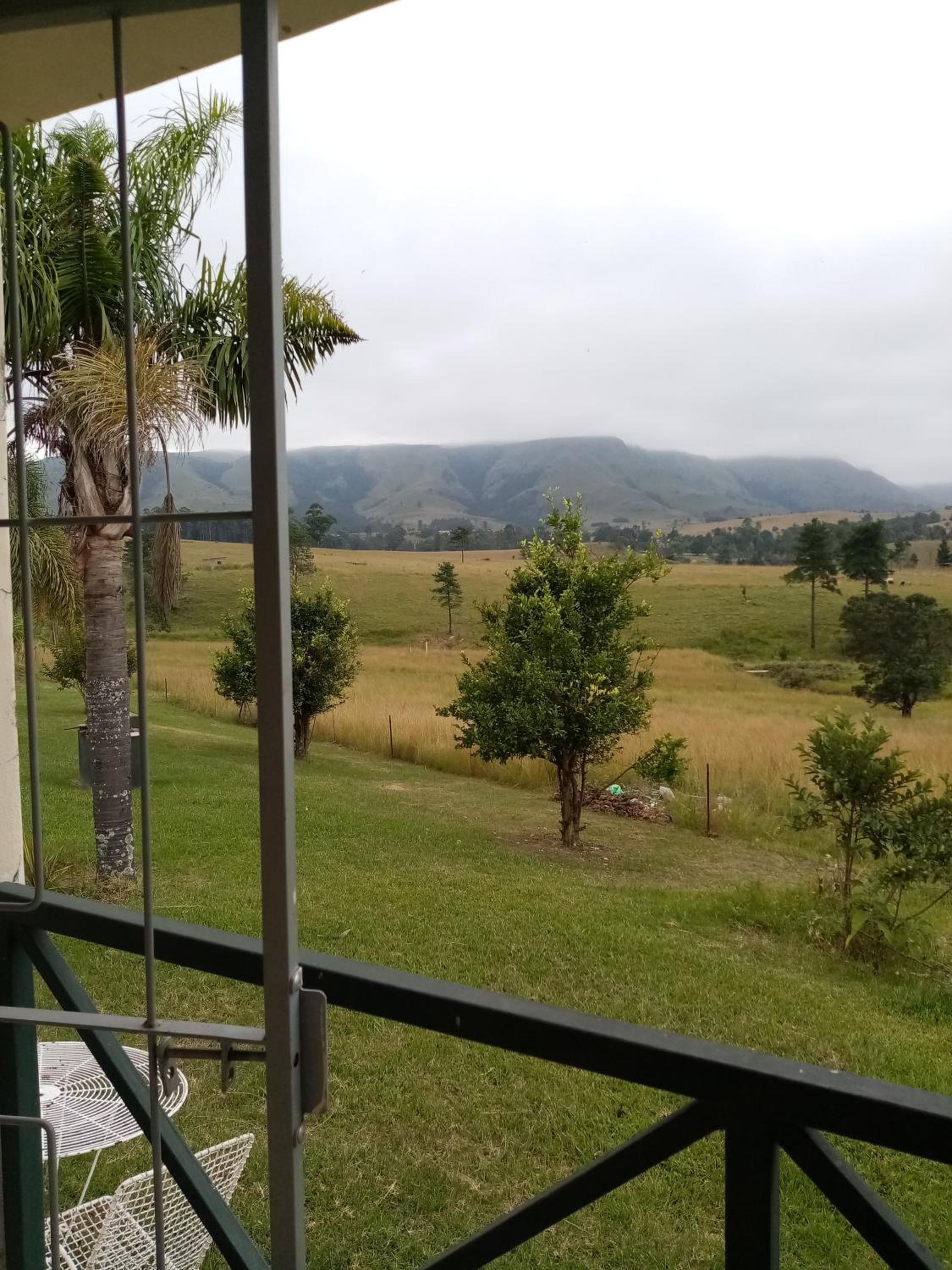 Photo 33