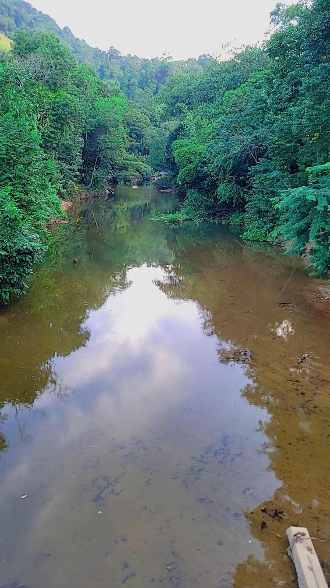 other