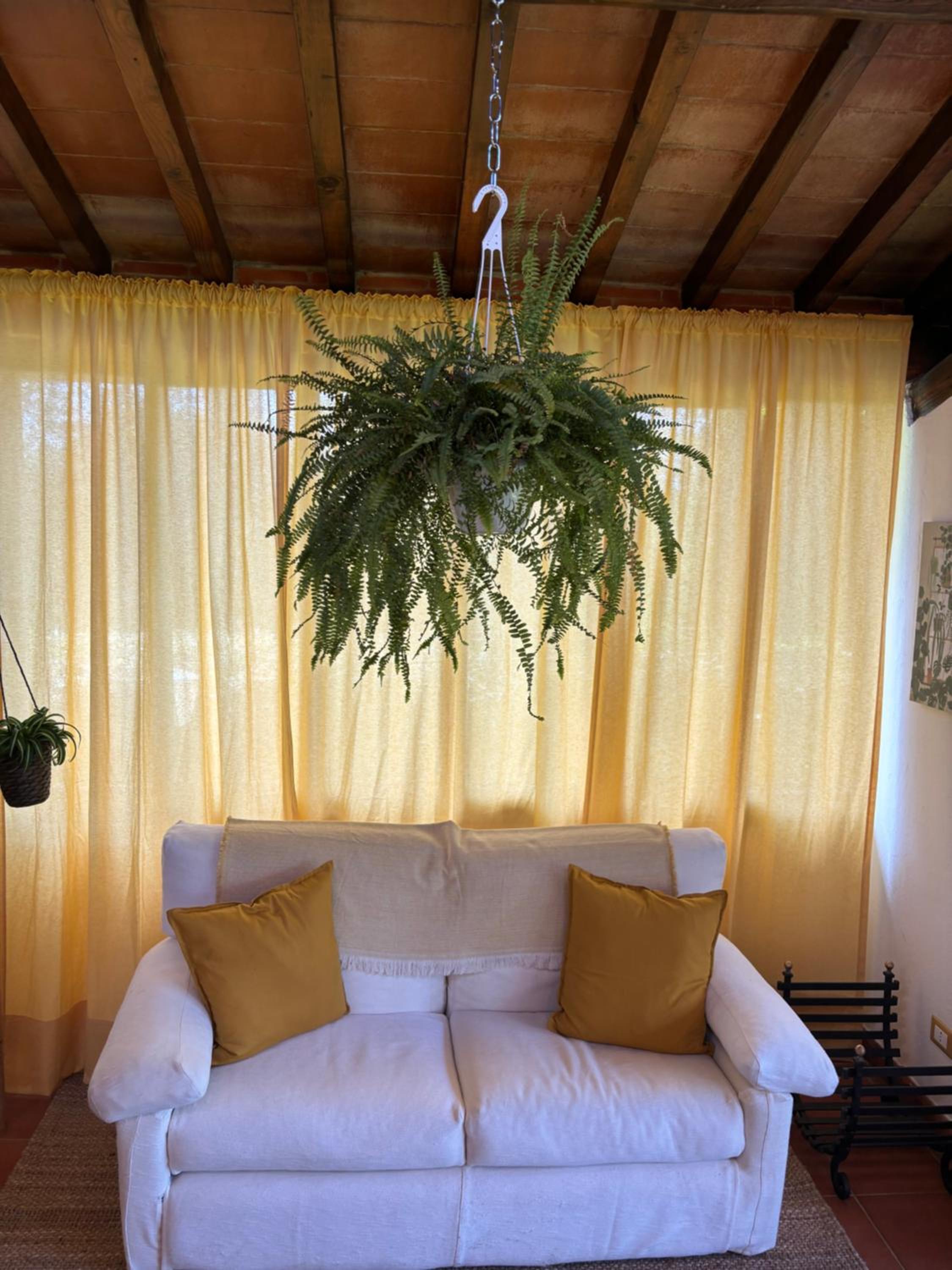 Villa Olea