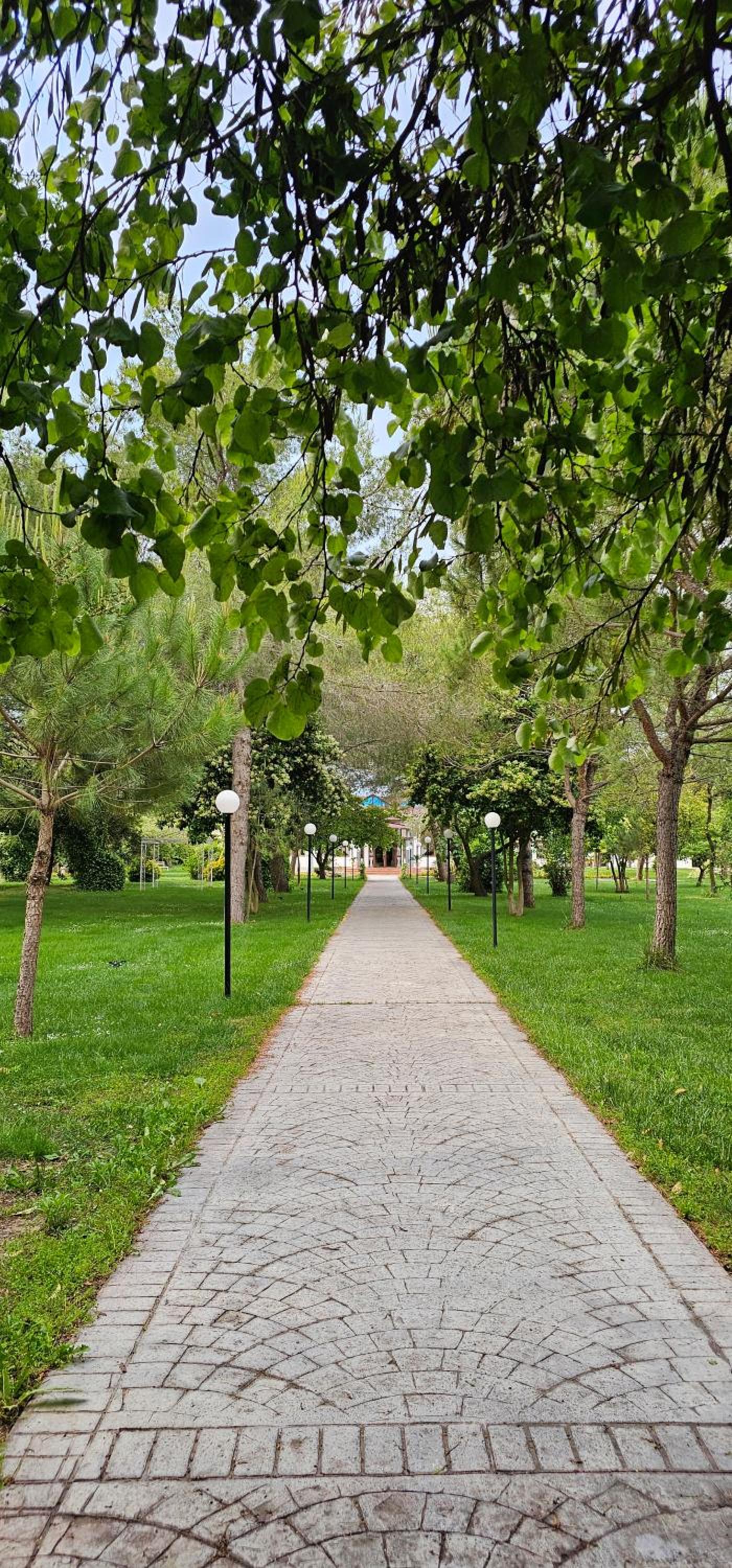 Green Park Divjake