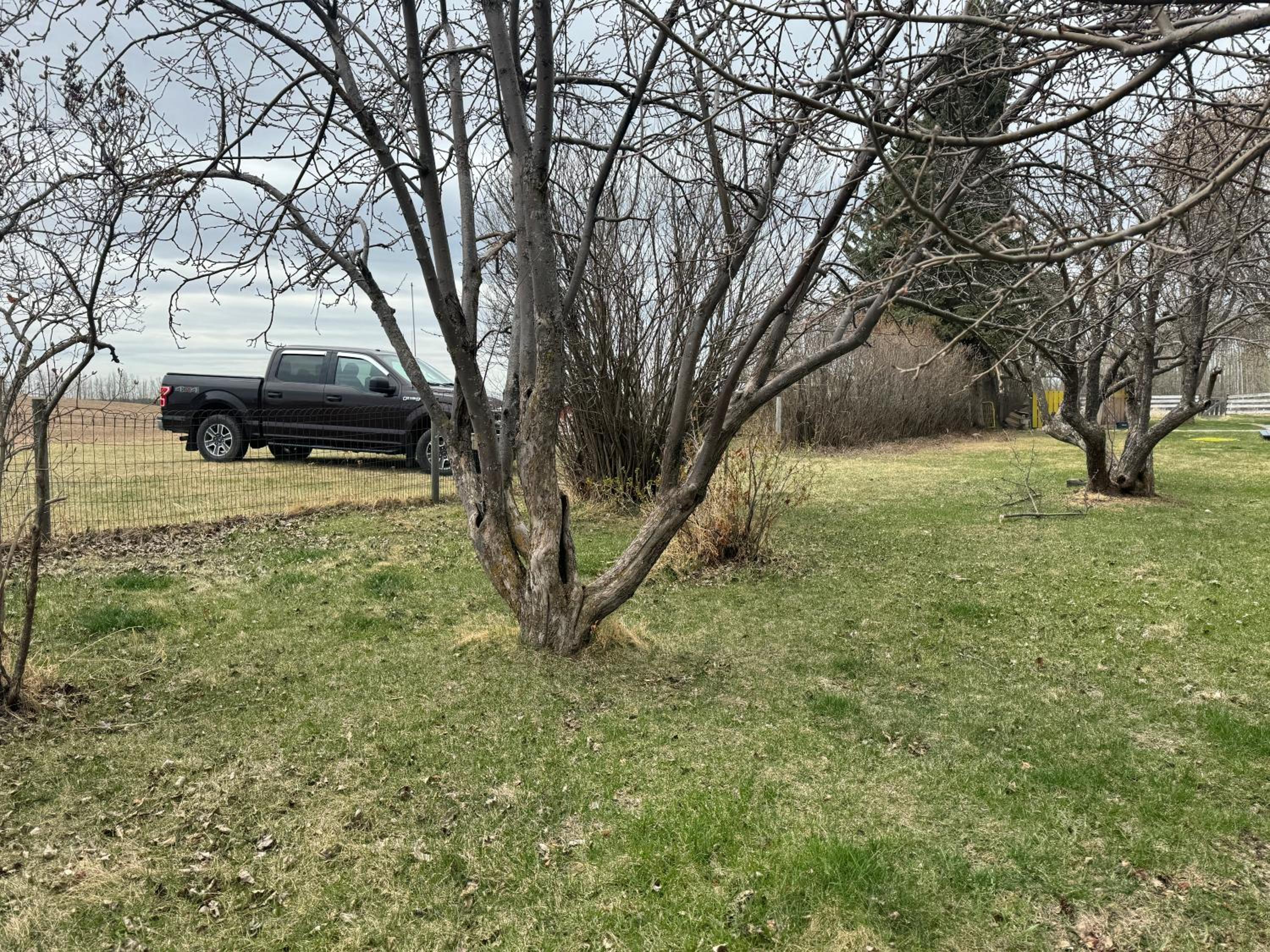 Farmstay in Edmonton