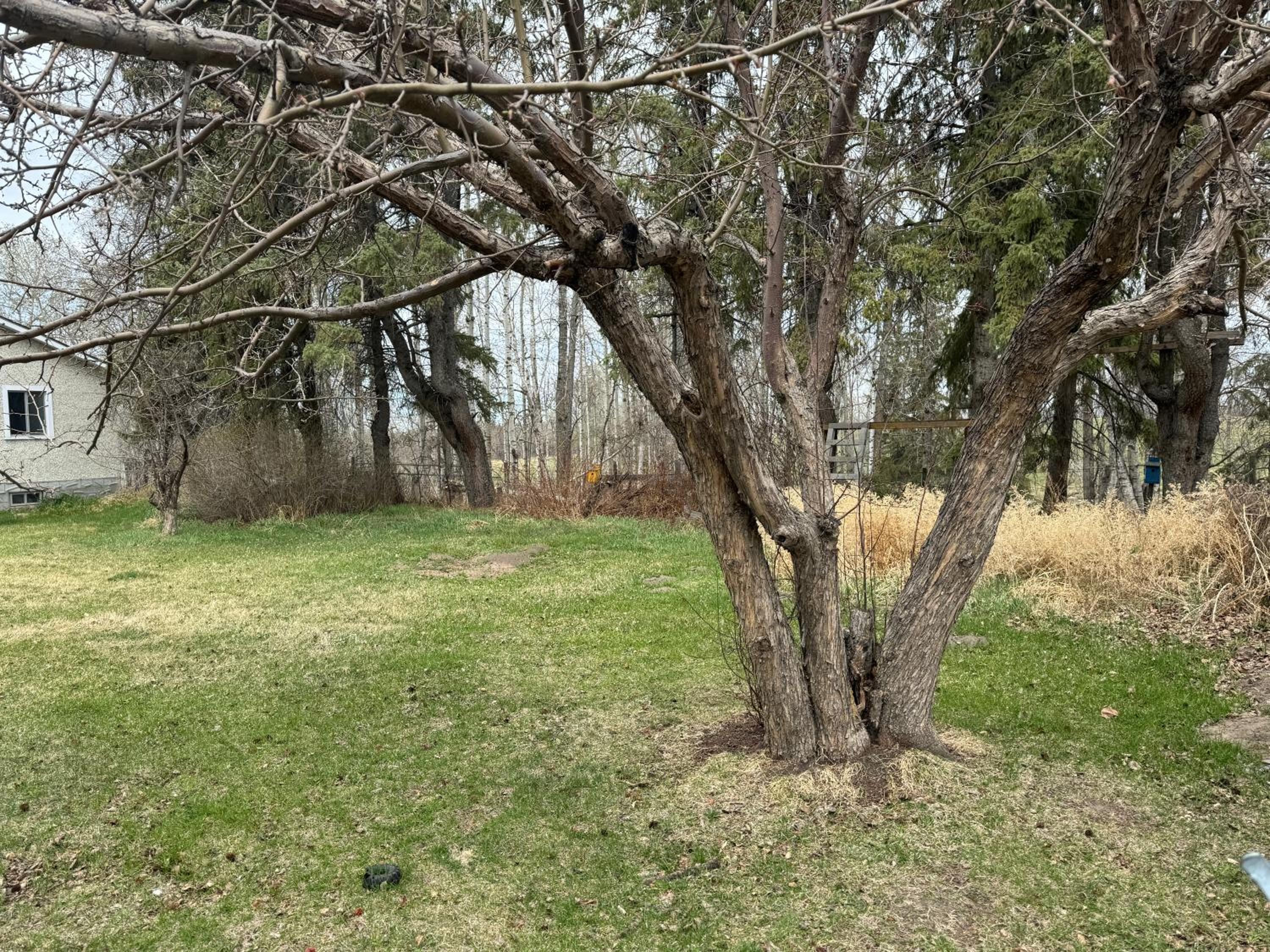 Farmstay in Edmonton