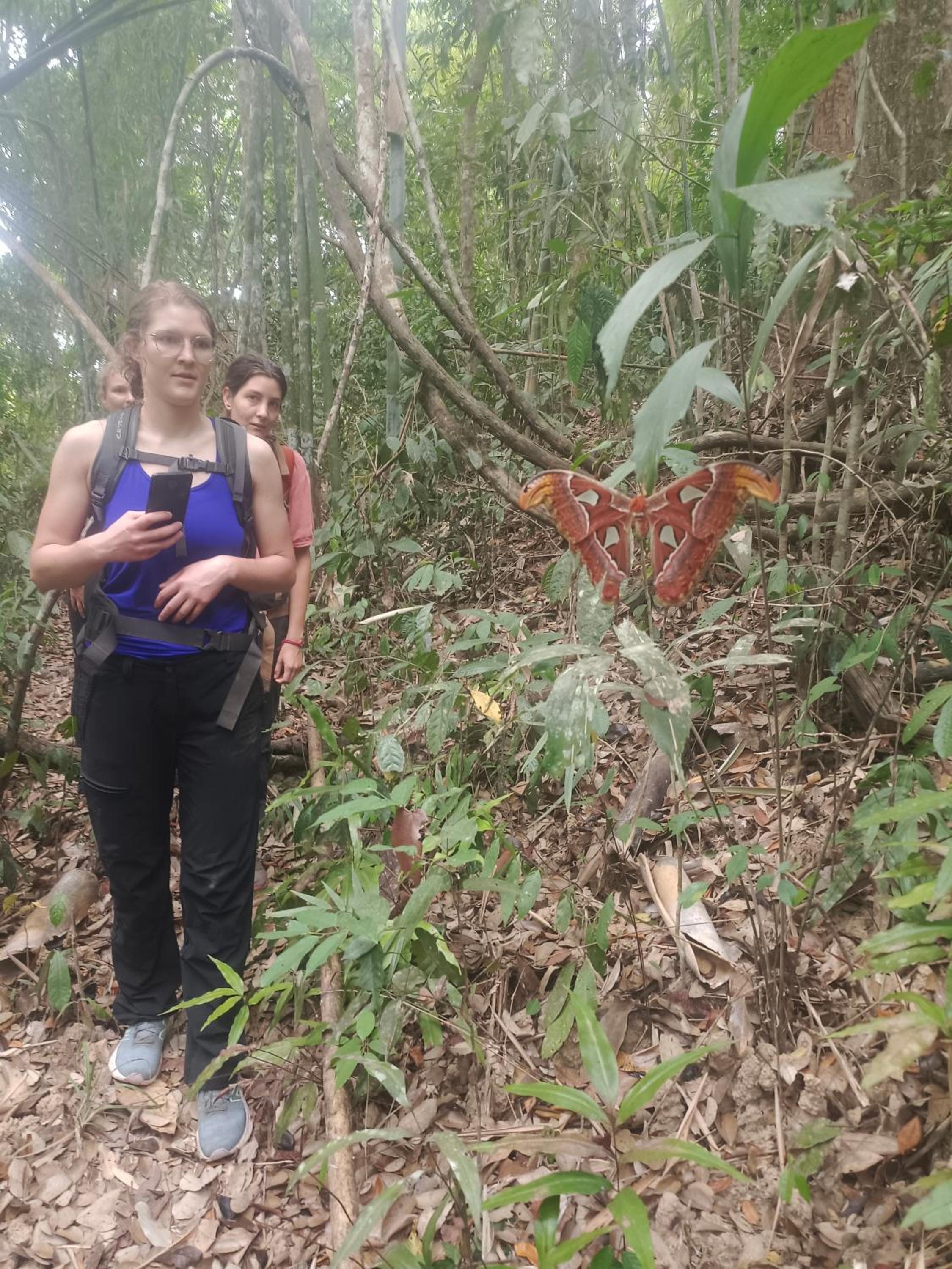 Banlung Hill Top House &Trekking