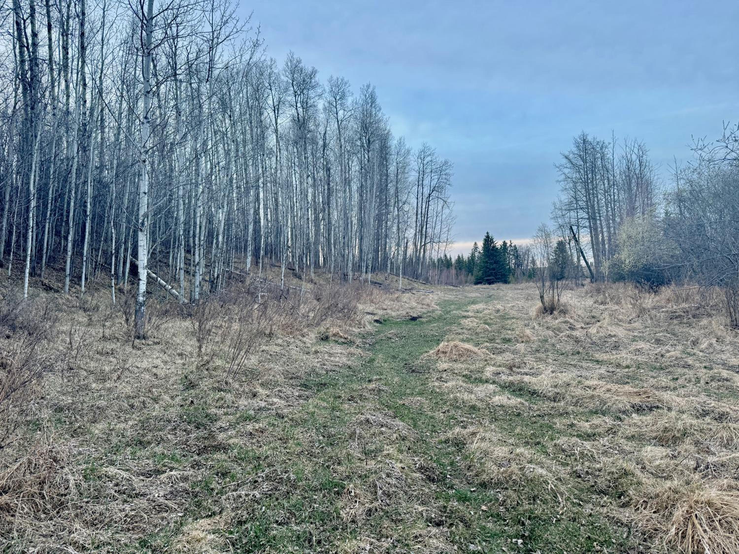 Farmstay in Edmonton