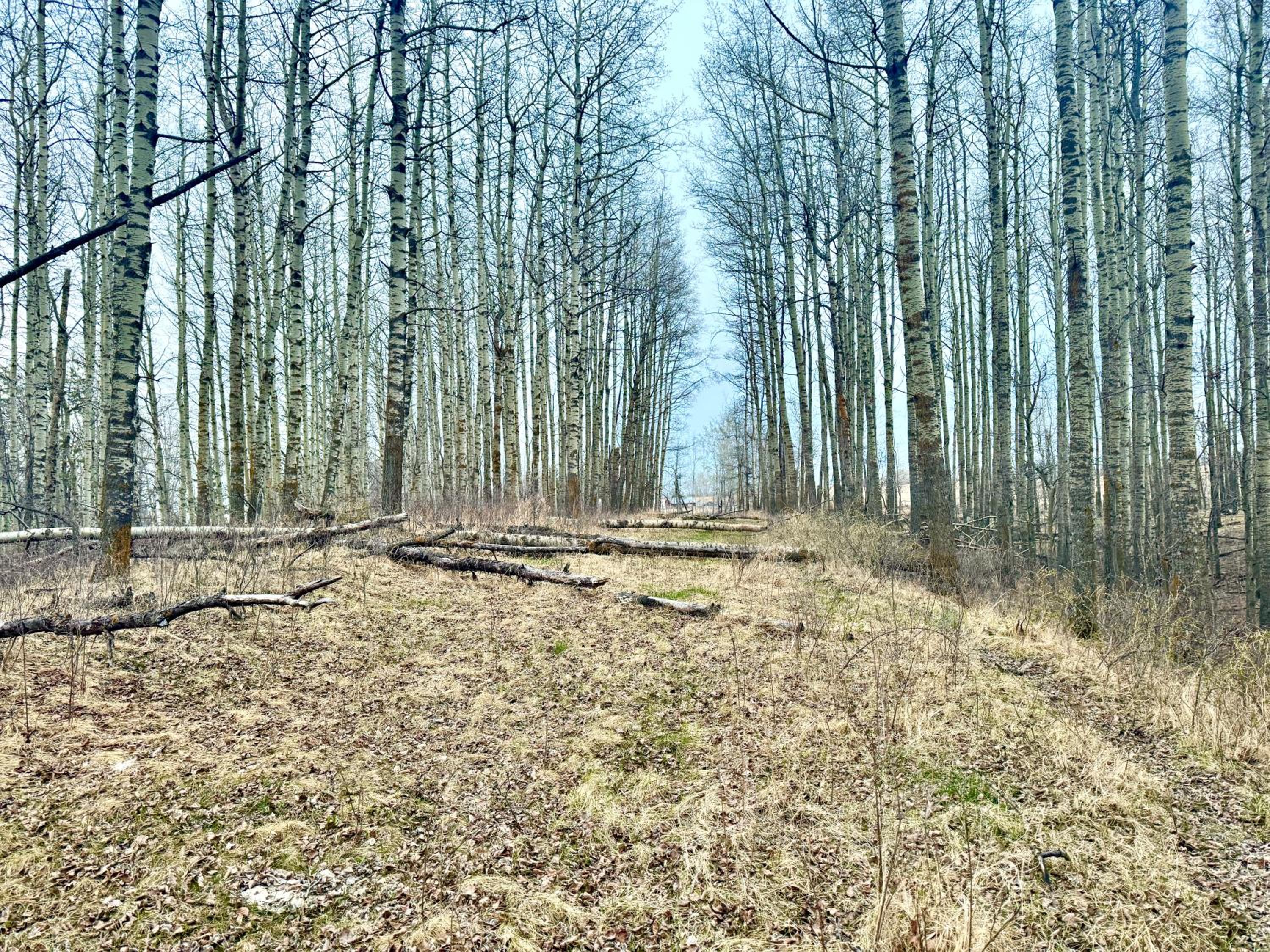 Farmstay in Edmonton
