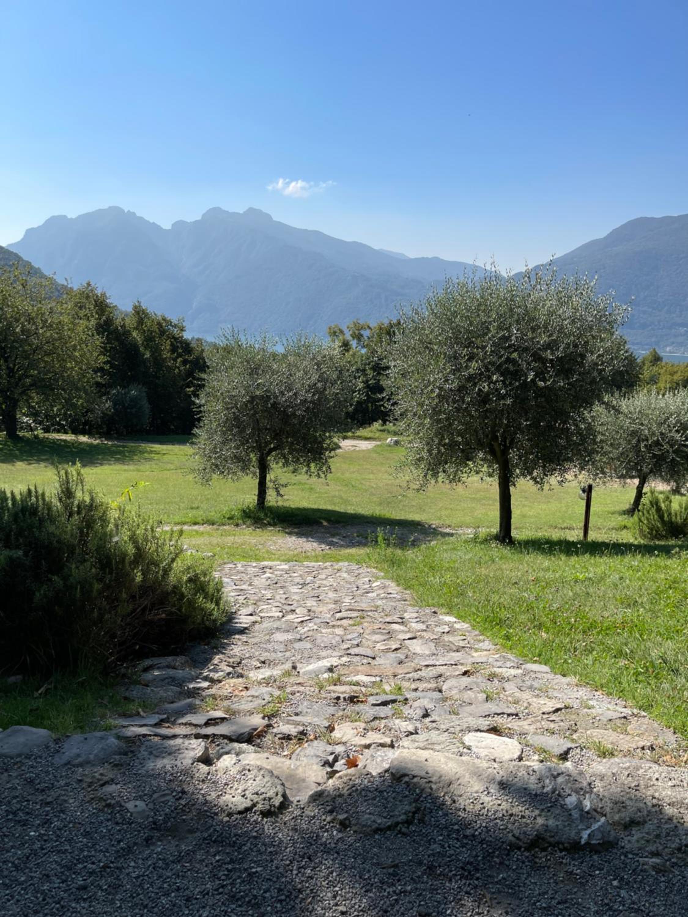 Agriturismo La Selvaggia