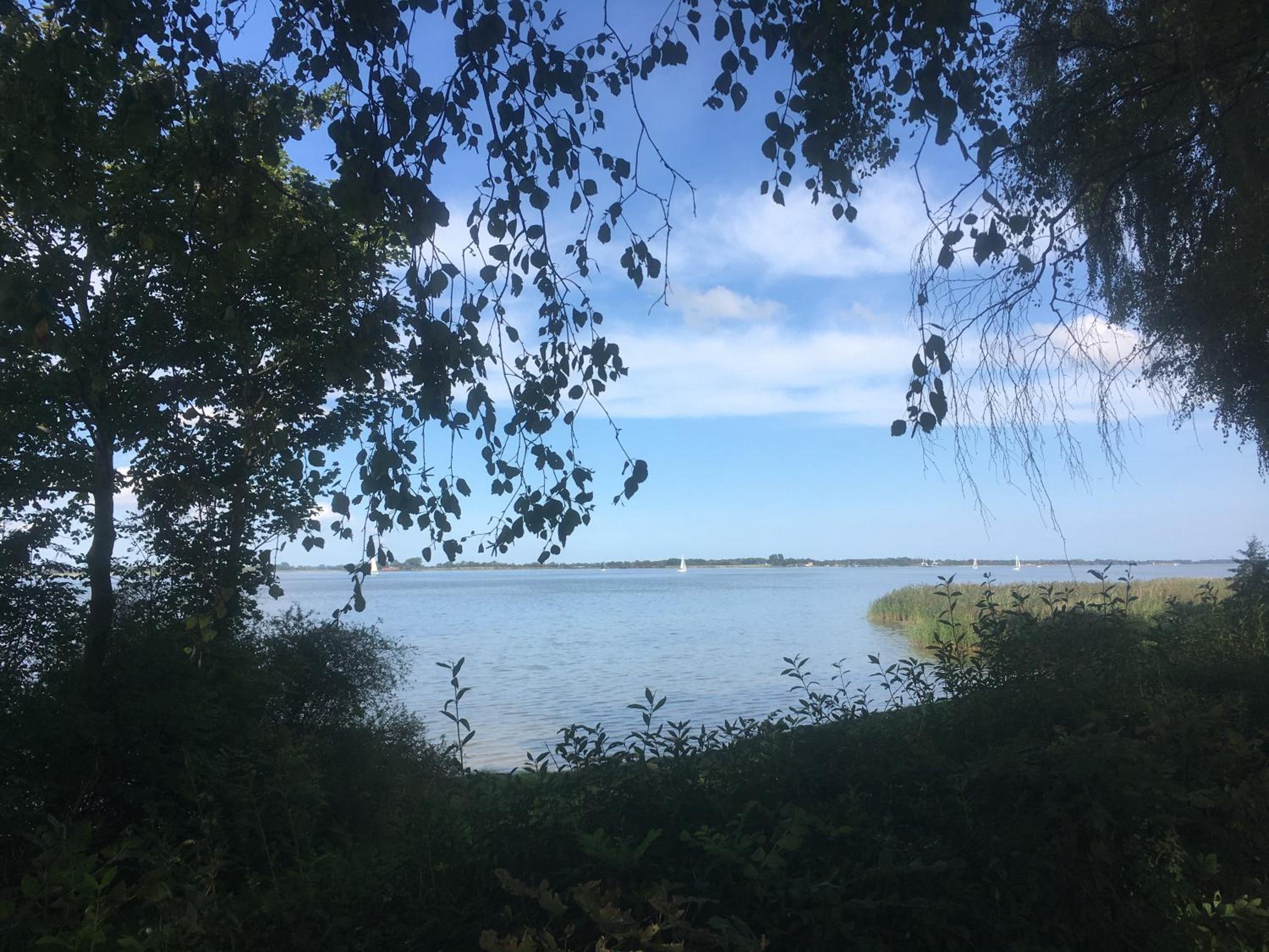 Ferienwohnung am Strelasund