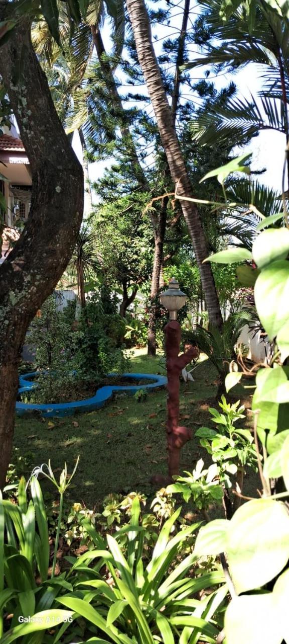 Photo 21