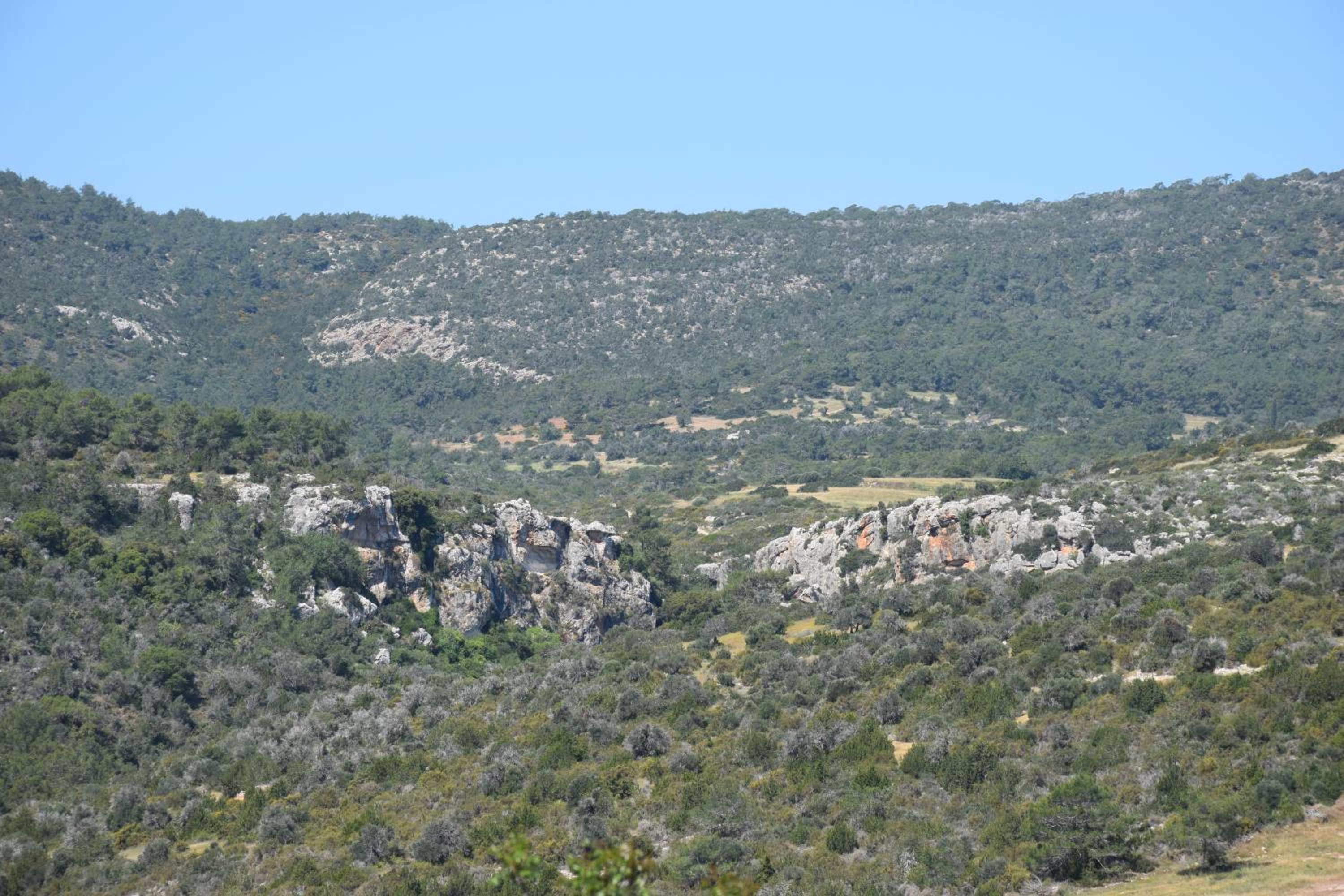 AKAMAS THRONE APARTMENTS