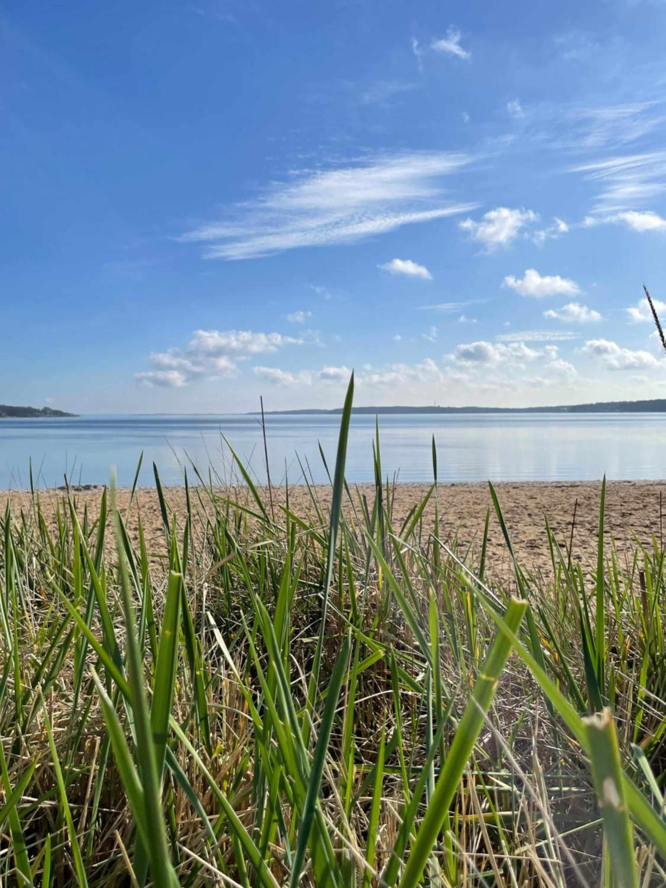 Strandliebe - Beach Apartment mit Meerblick