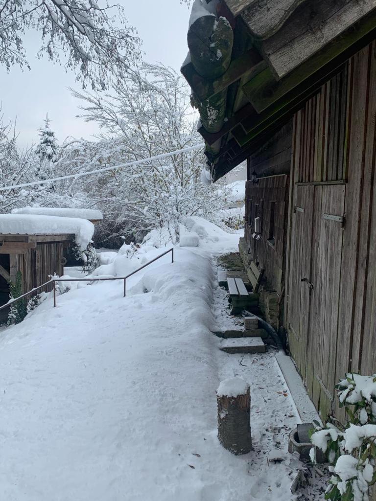 Ferienhaus // Waldlerhaus - Bayern - Bayerischer Wald view 5