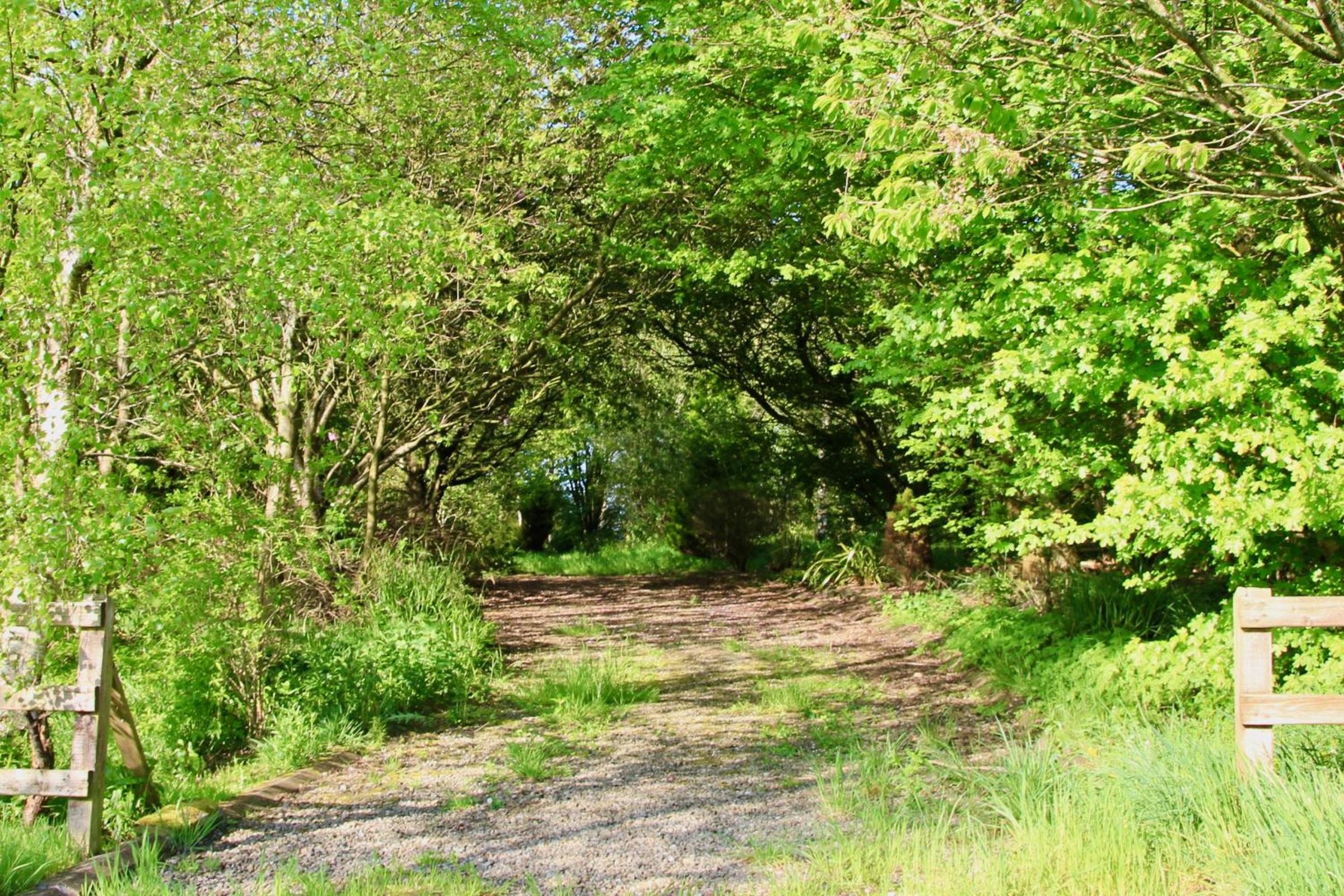 Peatlands Retreat, Causeway Coast
