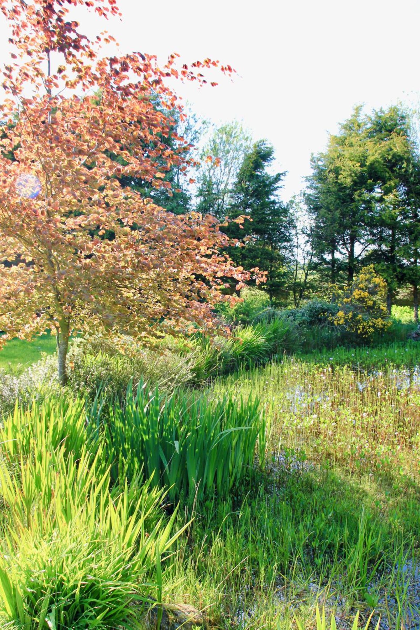 Peatlands Retreat, Causeway Coast