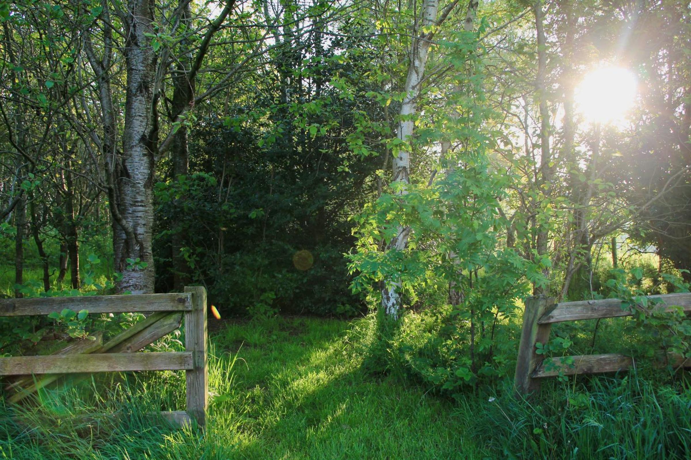 Peatlands Retreat, Causeway Coast