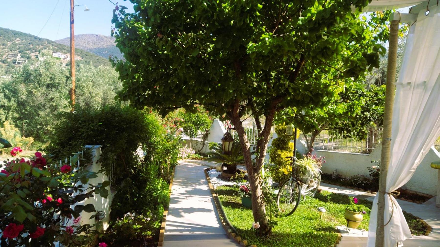 Amalia's Maisonette view 5