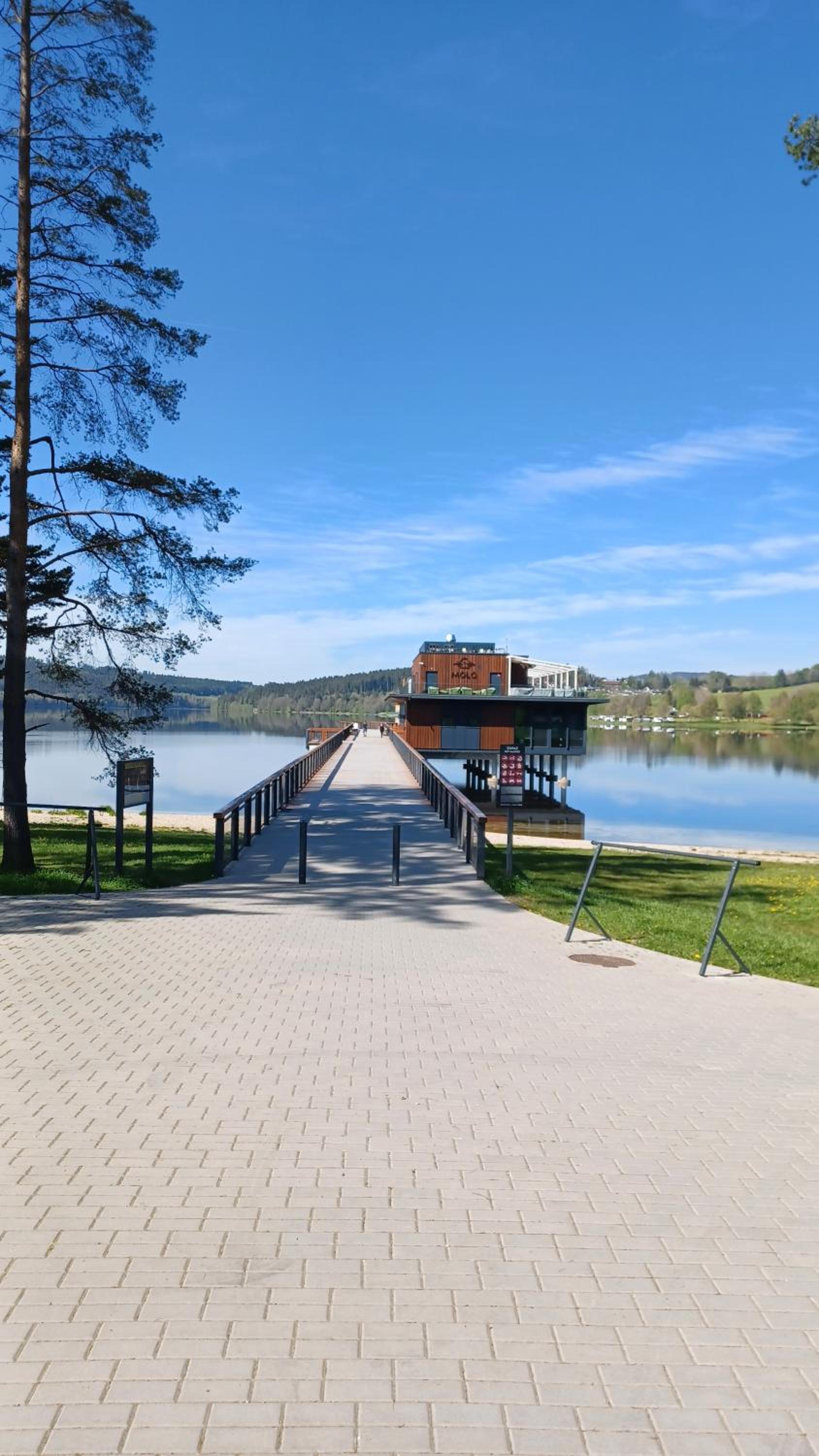 Apartmán Žižka