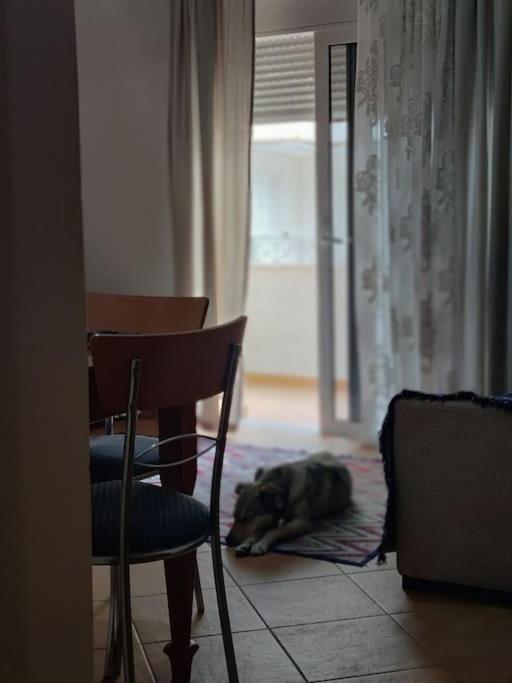 Jasemin Apartament