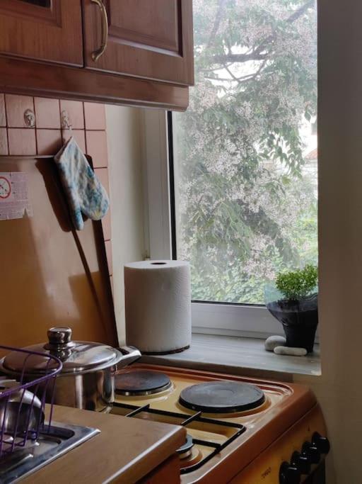 Jasemin Apartament