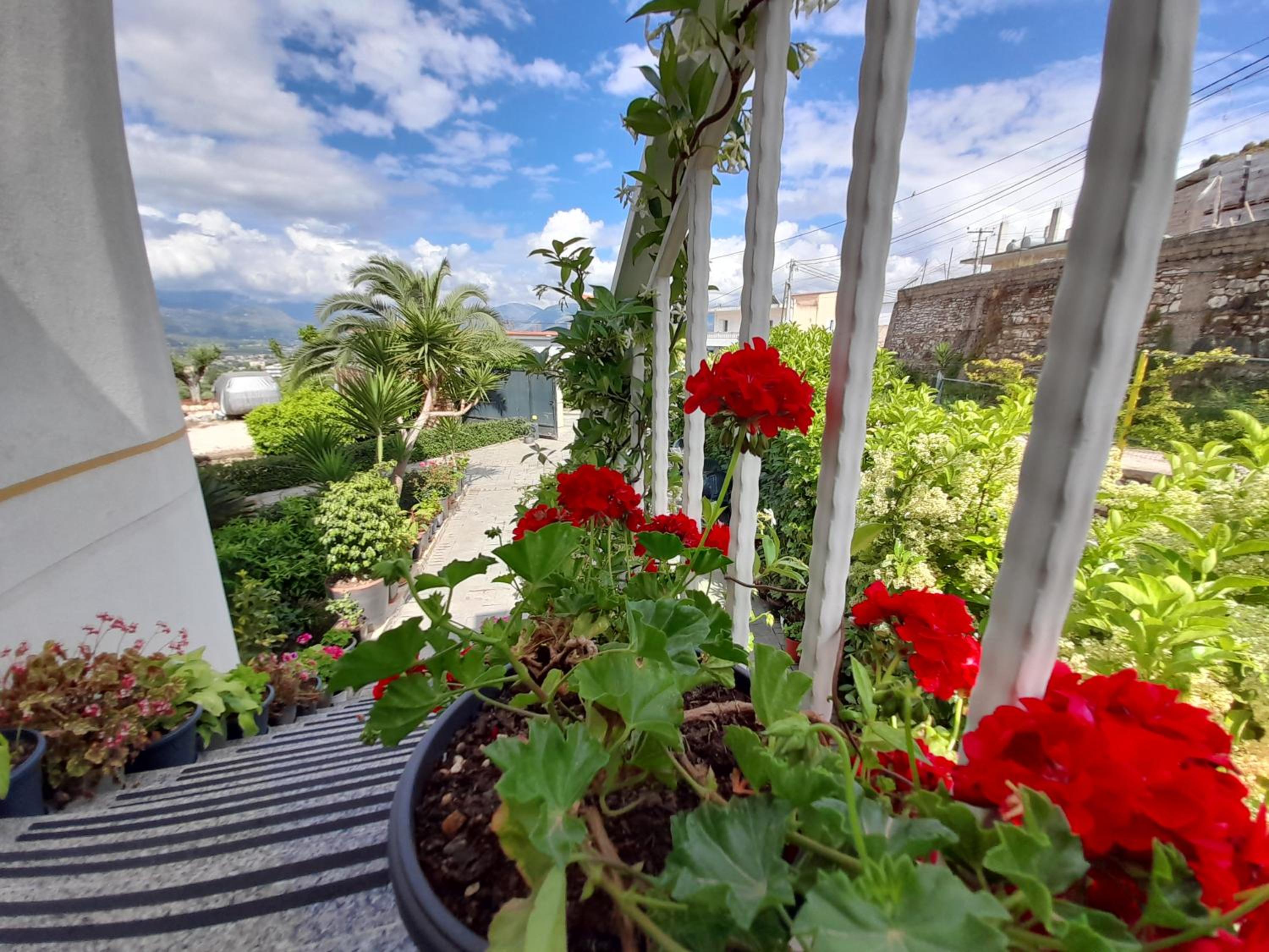 Vila Marjana