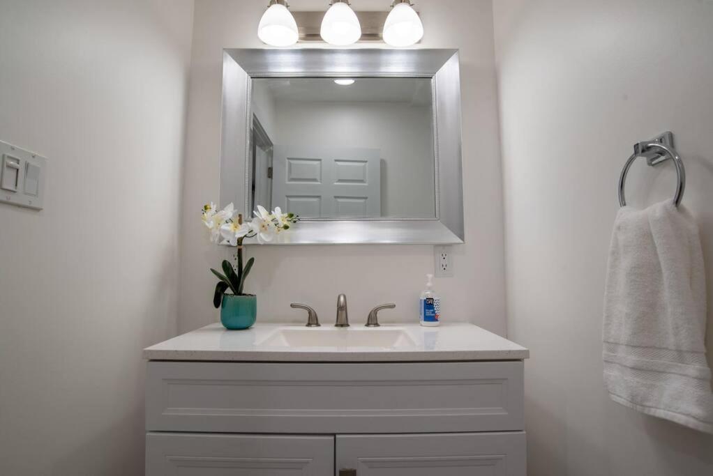 Roomy 3BR & 2BR Apartments near Universities view 5