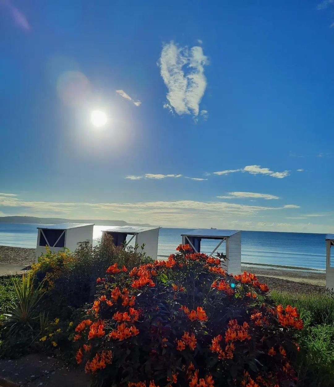 Weymouth Vacations - Penn House Hotel - Property Image 68