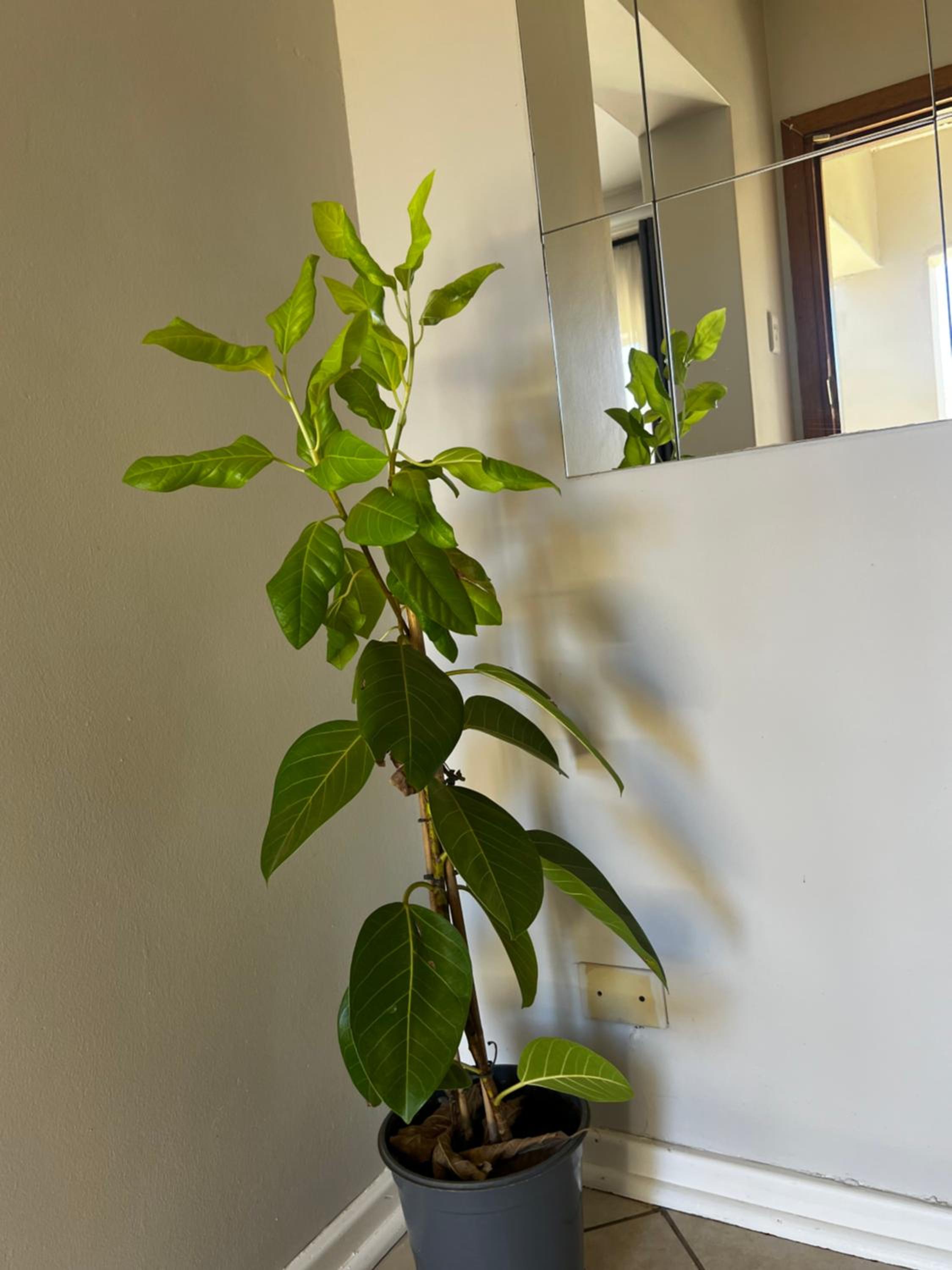Photo 28