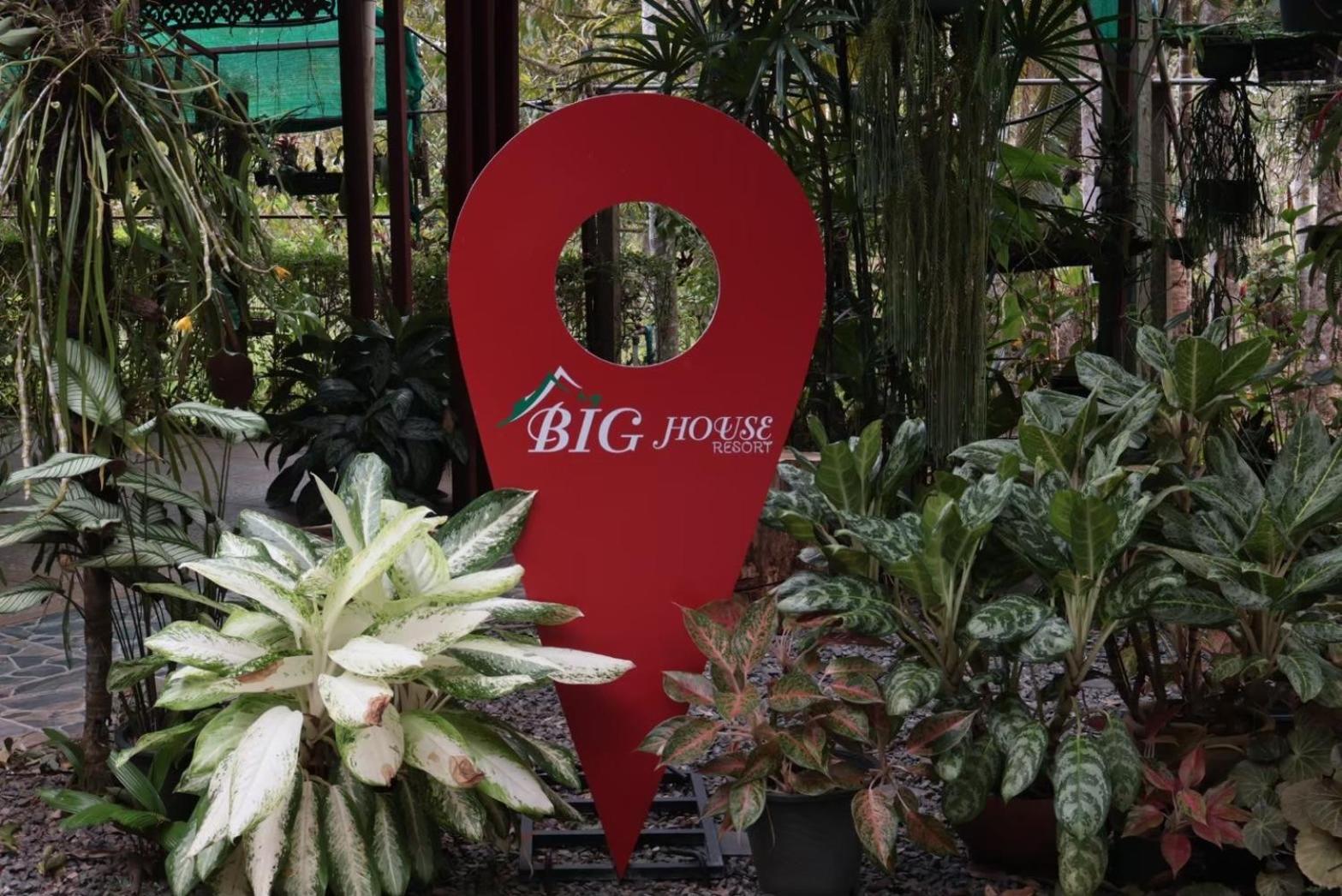 Big House Resort
