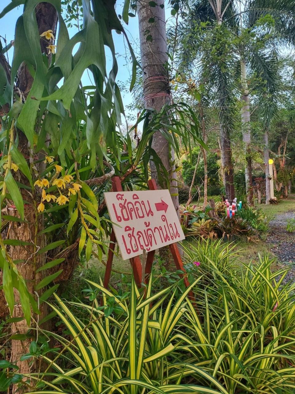 Big House Resort