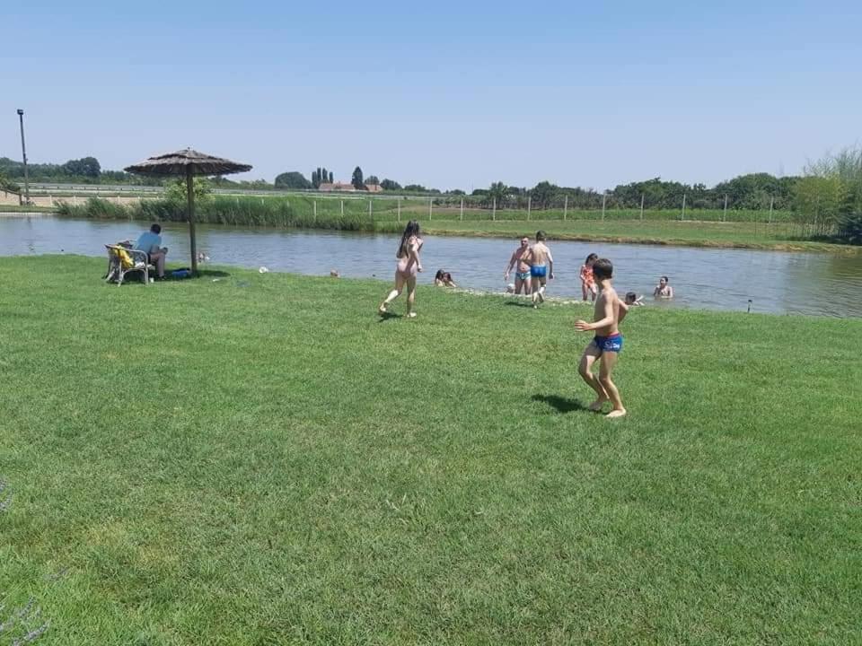 Photo 42