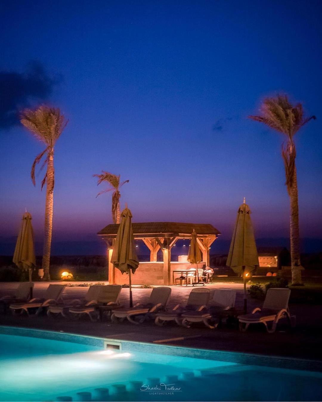 Photo 51