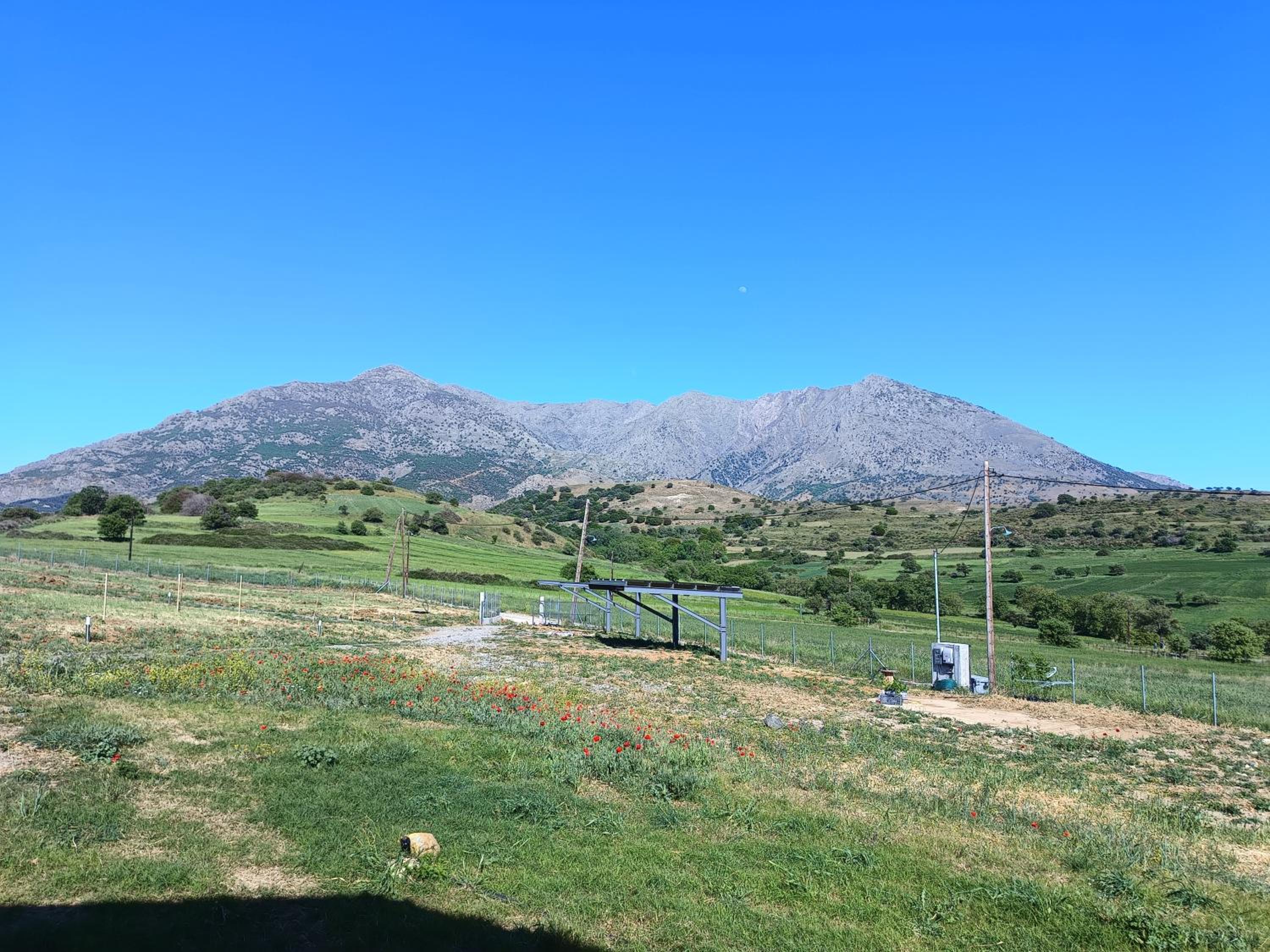 Pezoulia Cottages