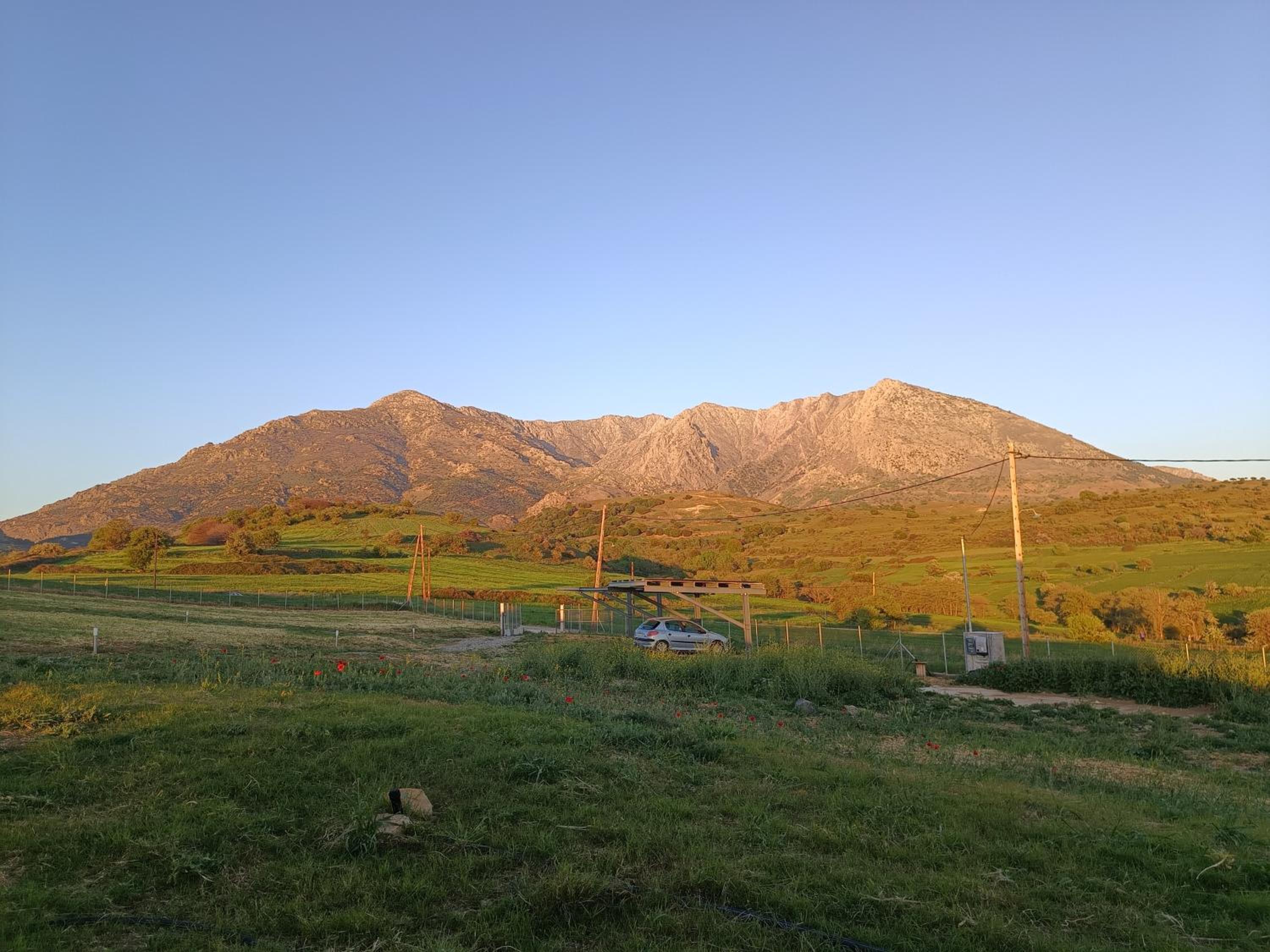 Pezoulia Cottages