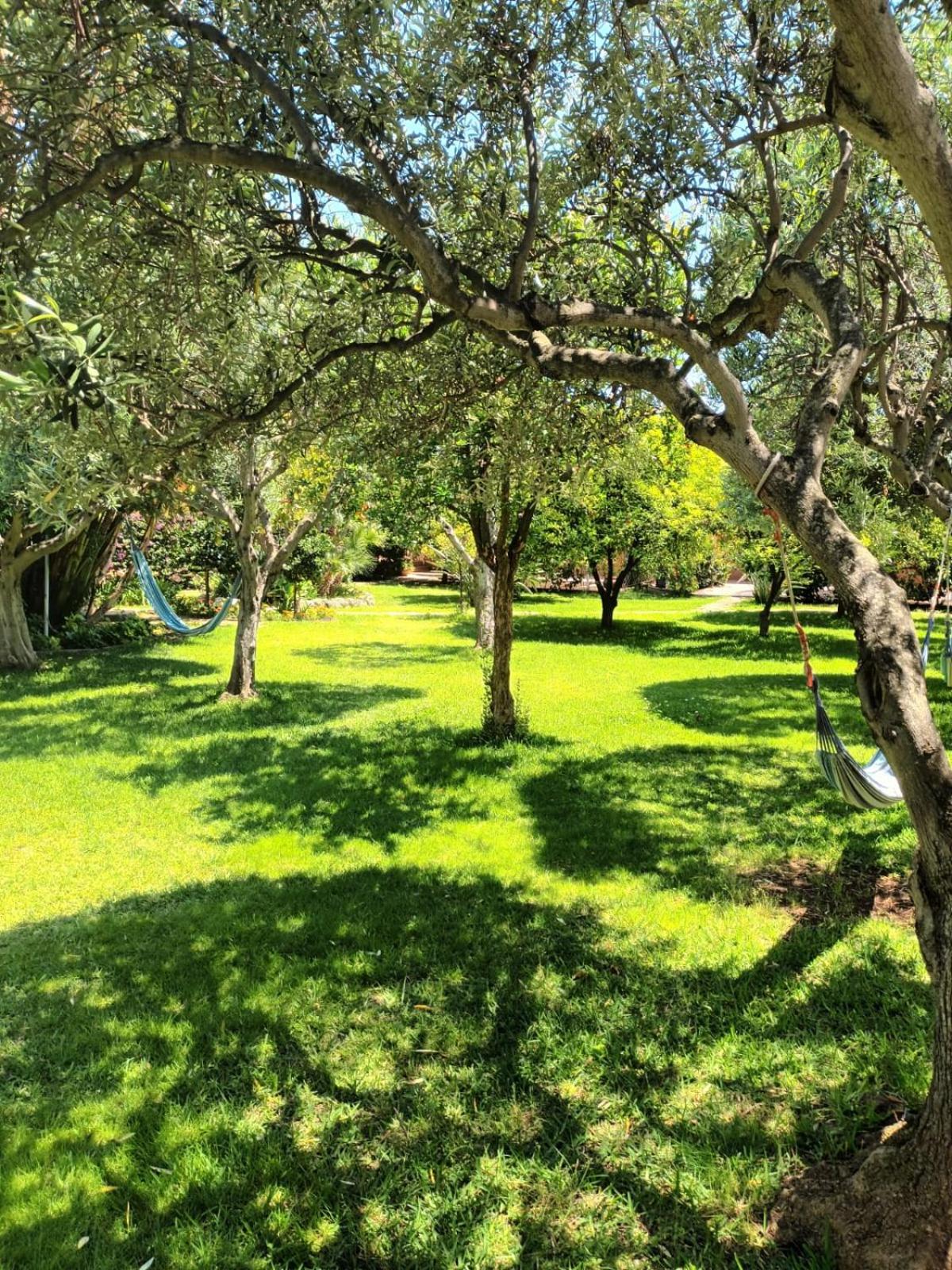 Photo 41