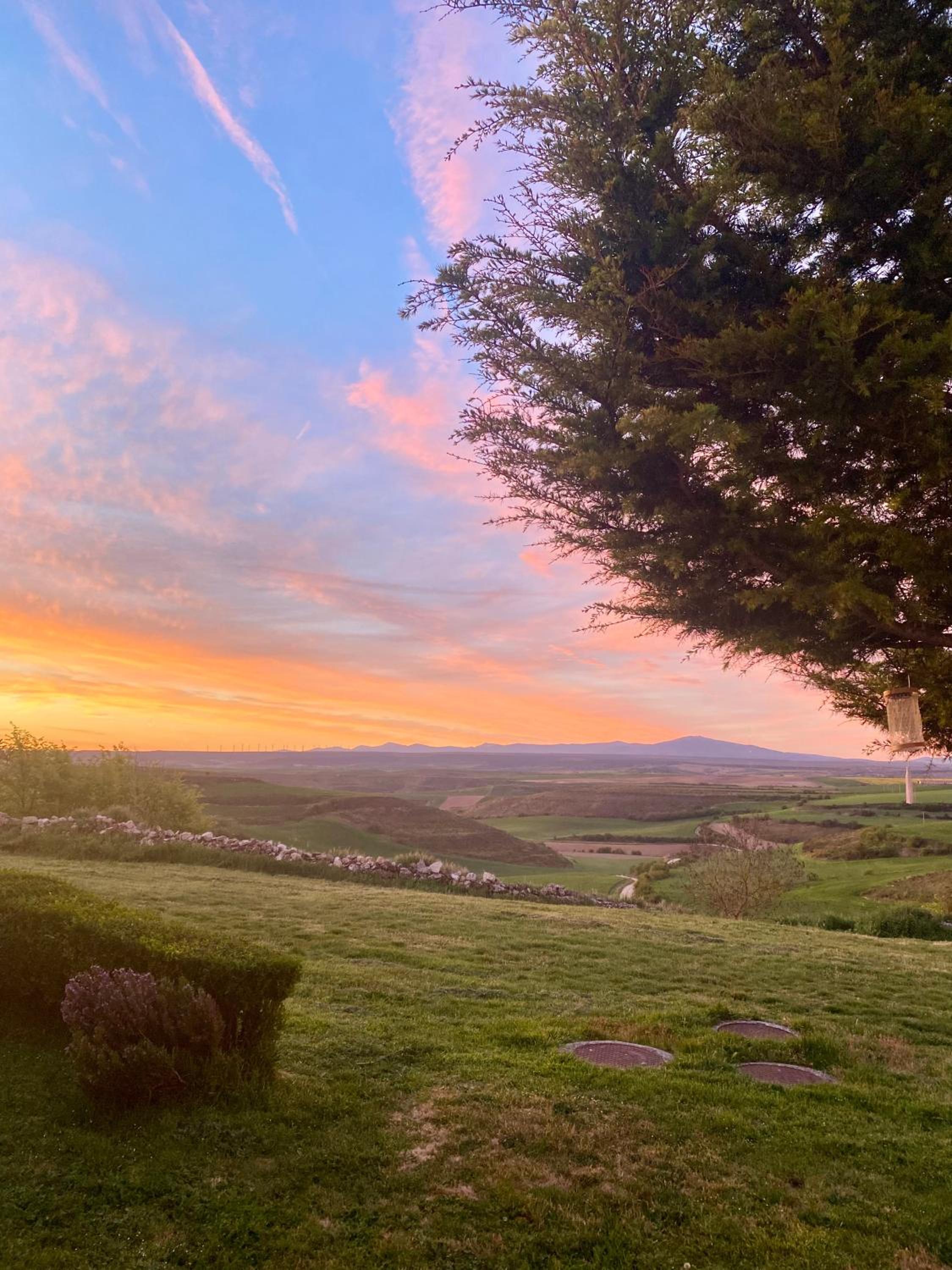 Fresno Vista