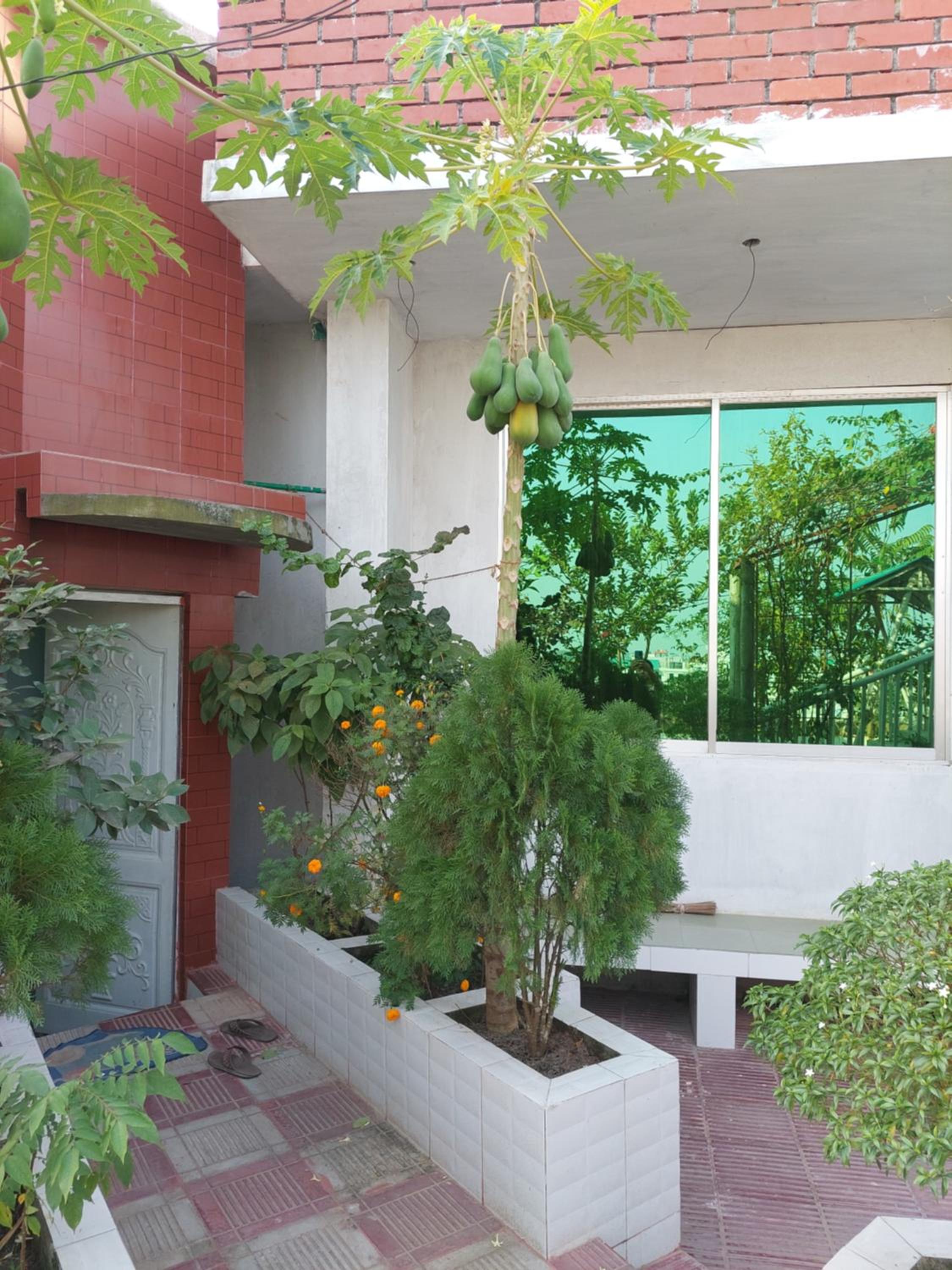 Rupjan Vila