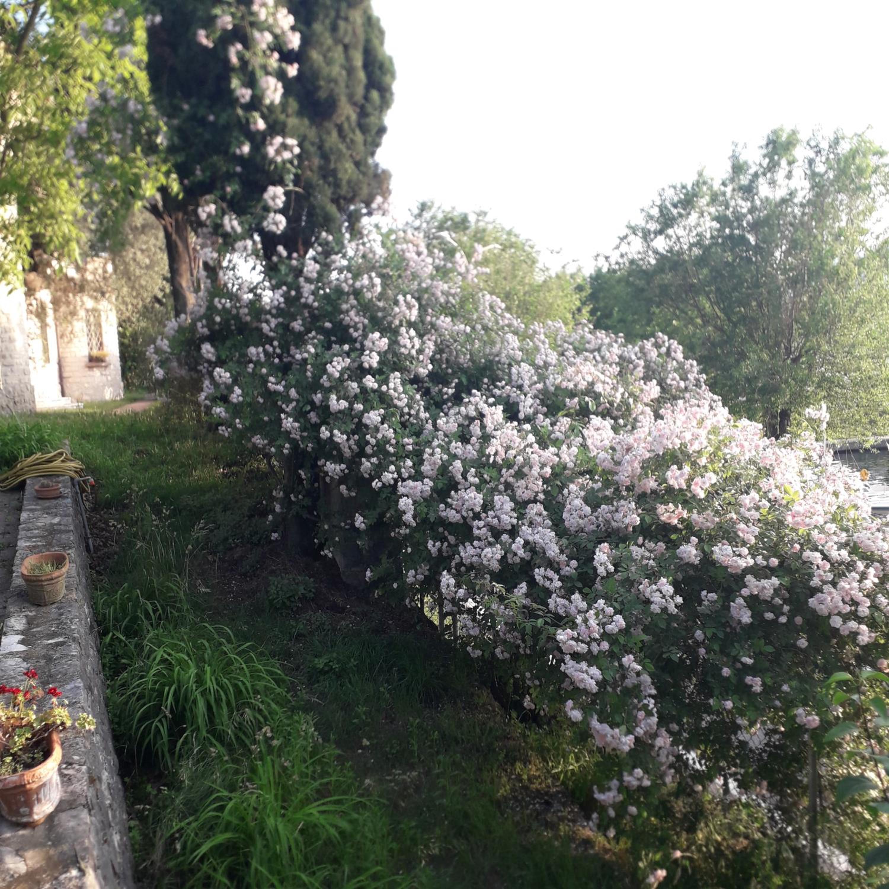 Photo 28